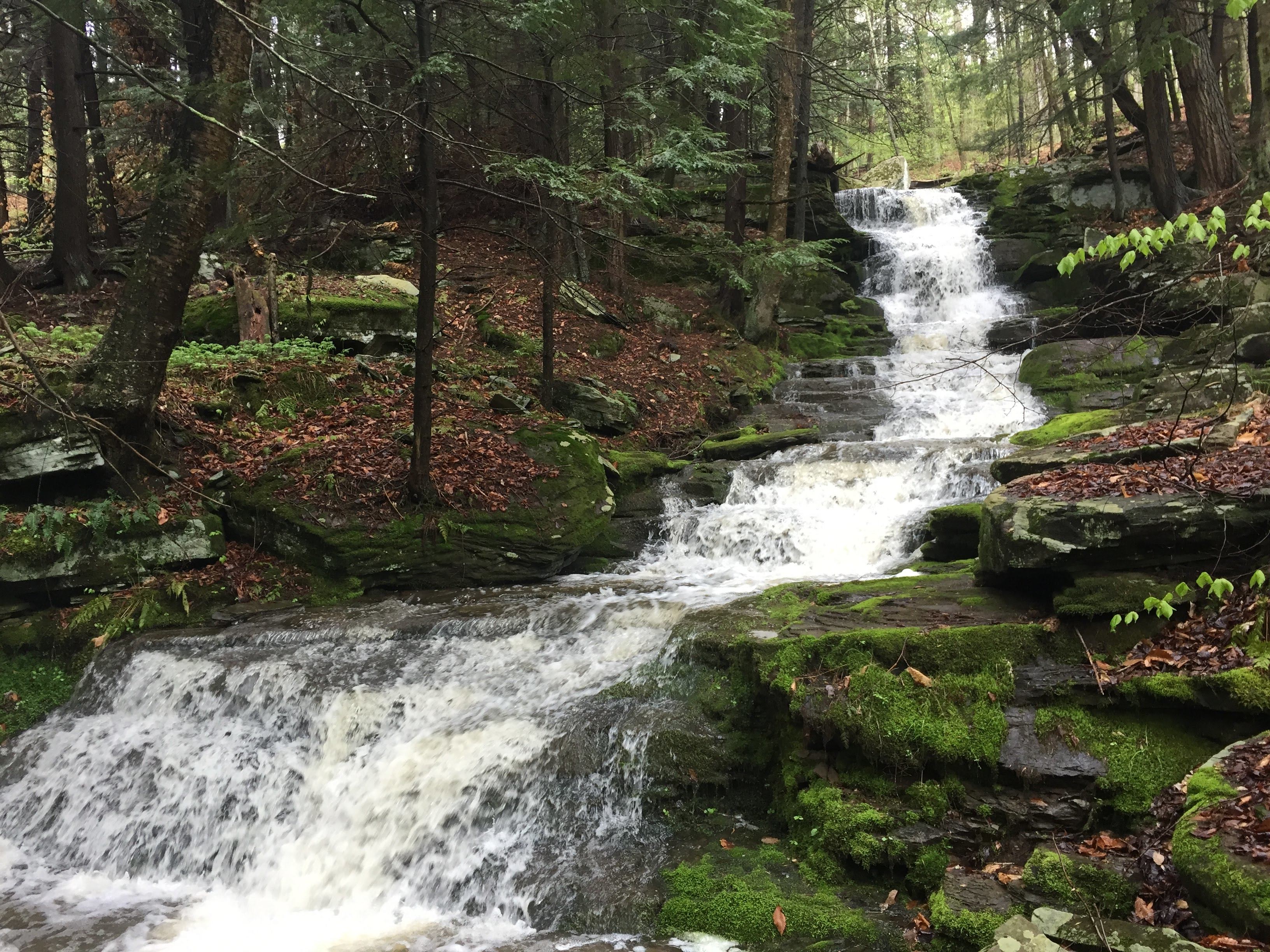 Cool off around the waterfall creek that runs past the camp site. Flow ranges from a spring-fed trickle in draught to whitewater torrent after rains. 