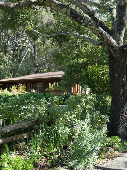 Adobe Motor Lodge Queen