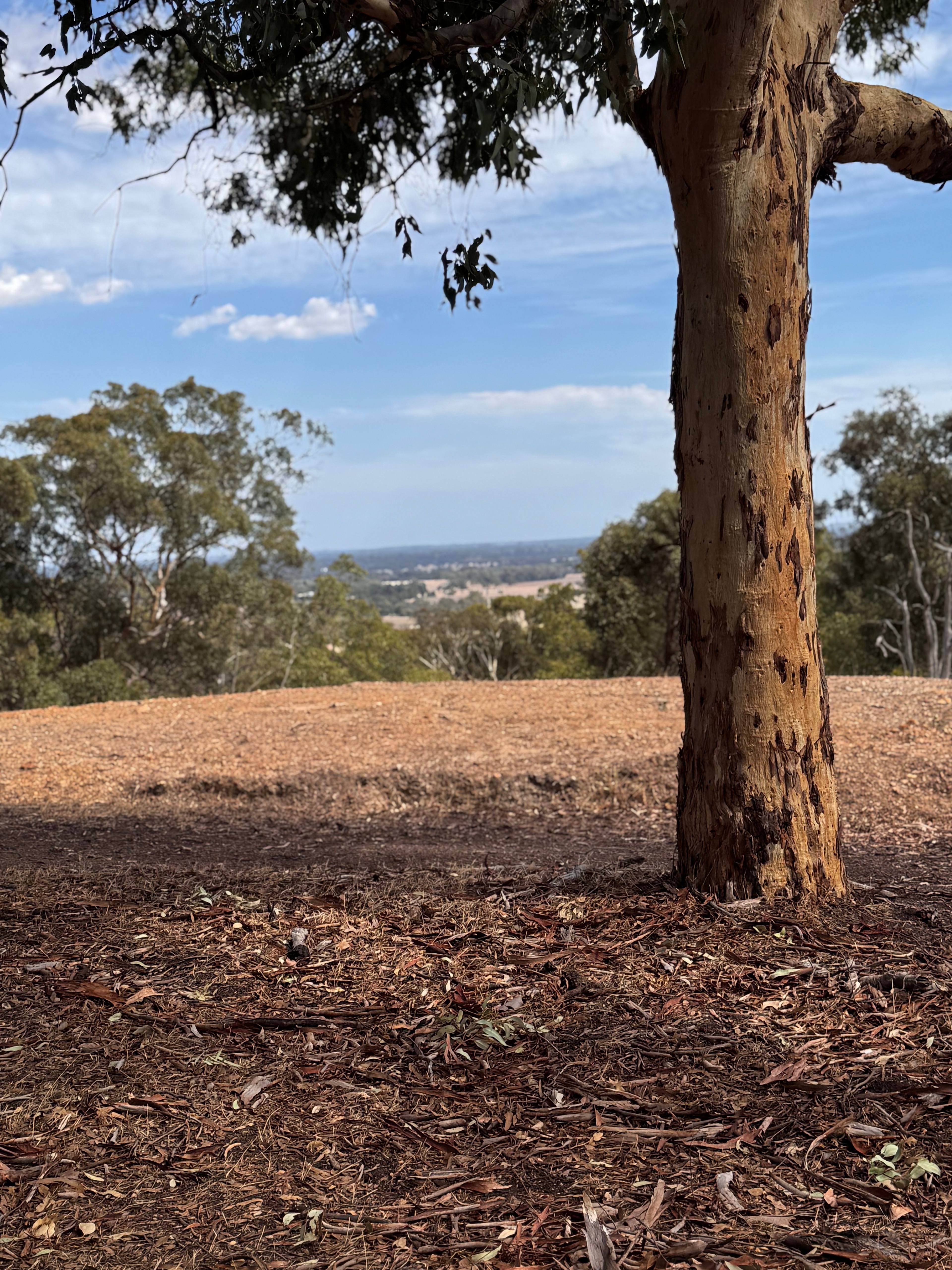 Yarrabah High Country- Jarrahdale