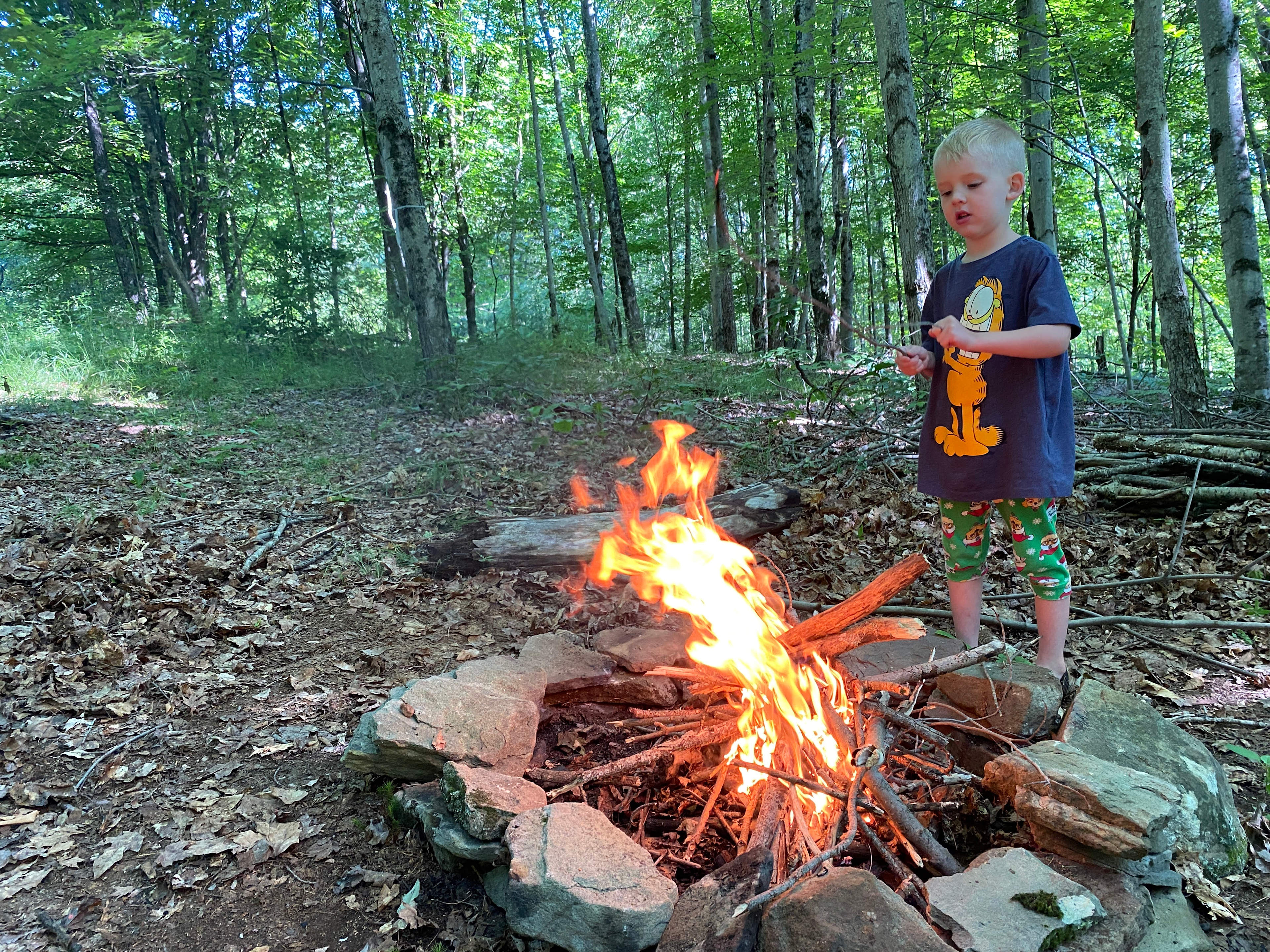 Fire ring at the site. You are welcome to gather and burn abundant dead wood. We provide one free bundle of split firewood for each night. Plus you may purchase additional bundles.