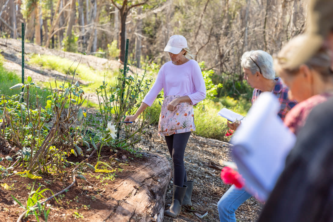 Upcountry Camping on Flower Farm