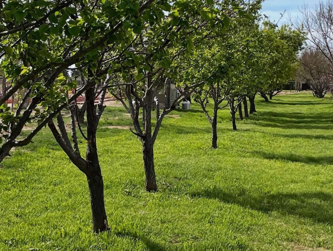 King and Queen Creek Farm