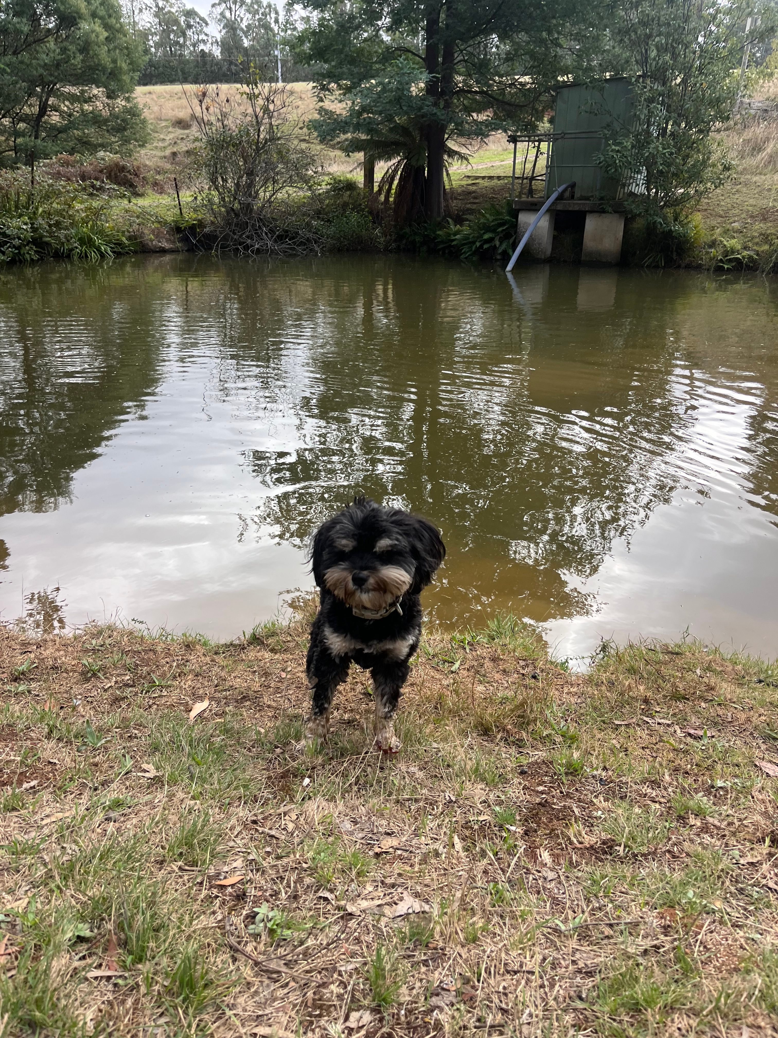 Mountain Spring - Off Grid