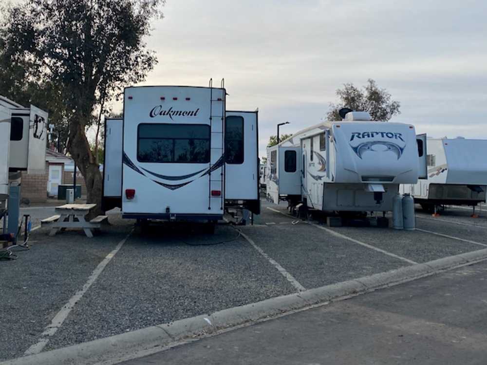 Almond Tree Oasis RV Park