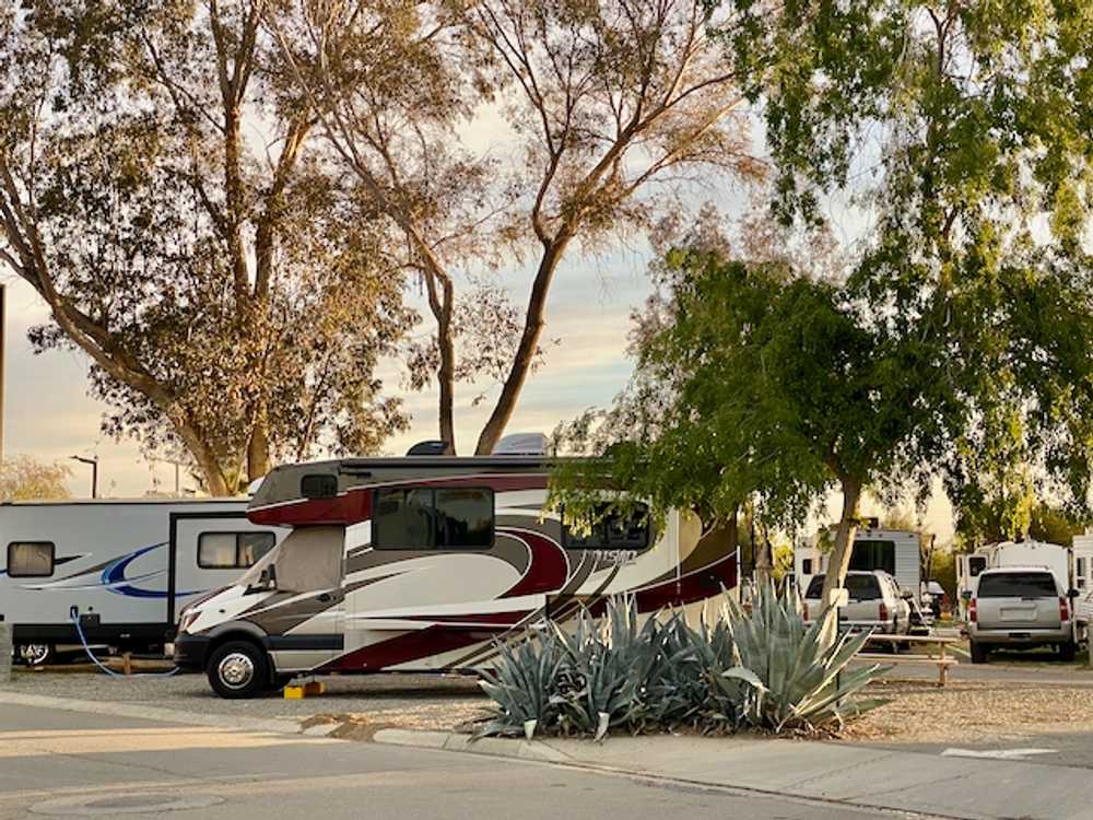 Almond Tree Oasis RV Park