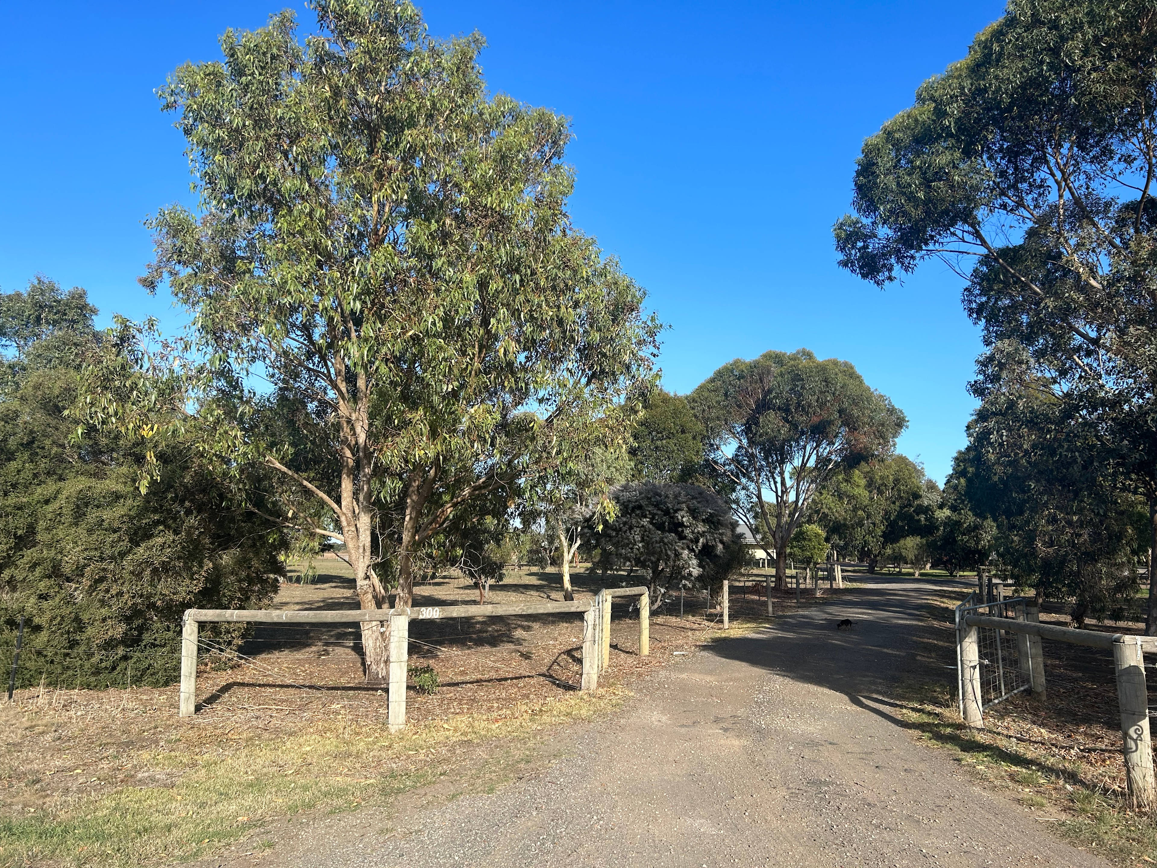 Reedy Lakes Farm Stay