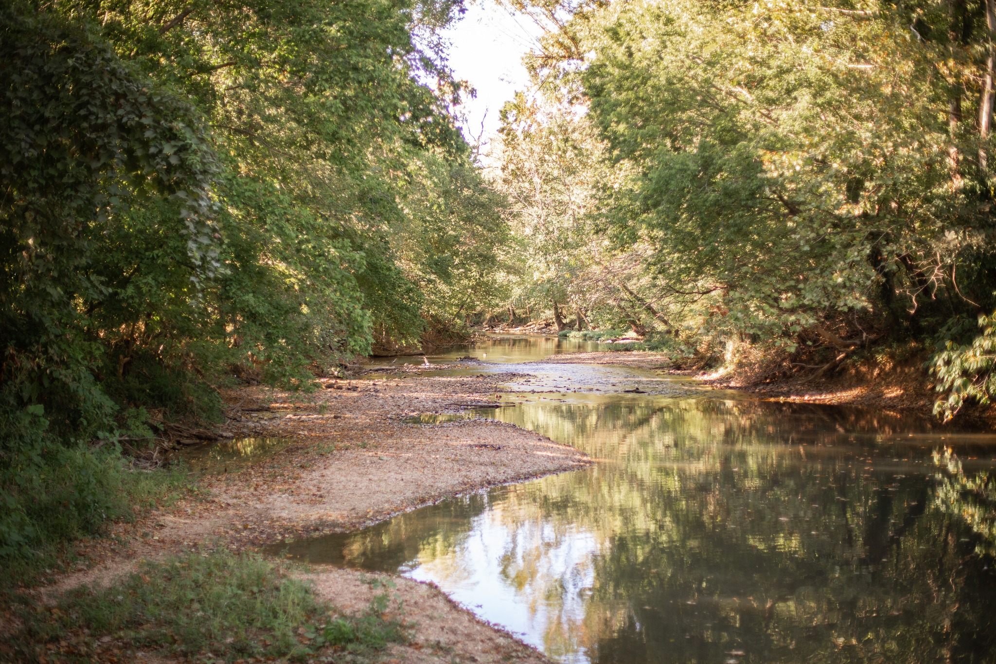 The Lodge At Cedar Bluff Farms