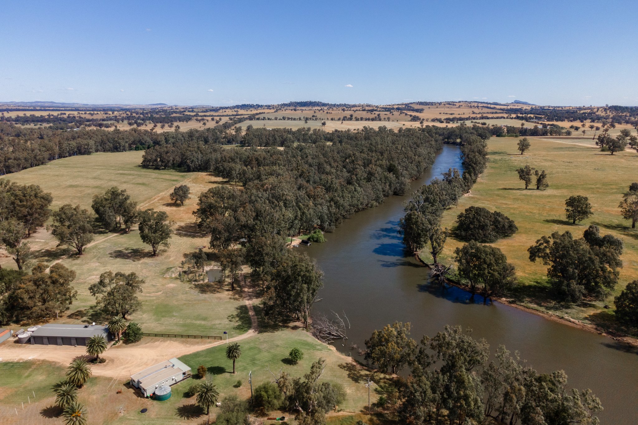 Palm Cove On The Murrumbidgee