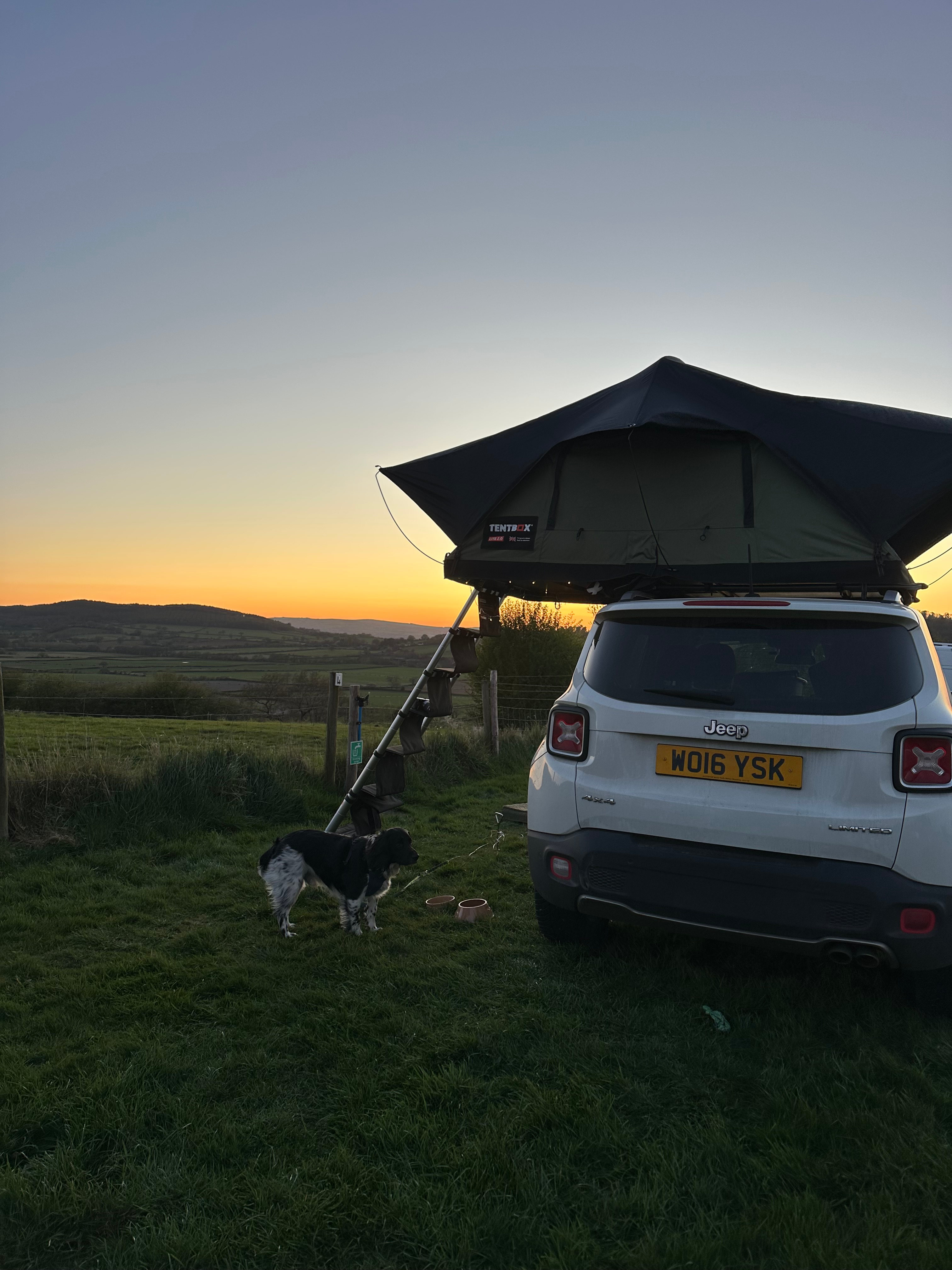 Spring Field Dark Skies Eco Camp