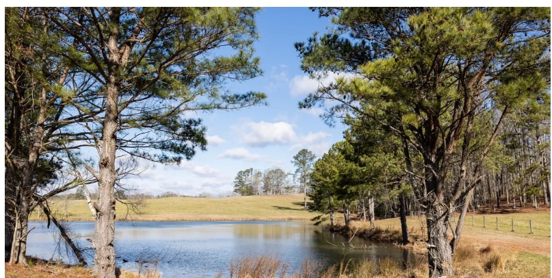 Blue Heron Urban Farms