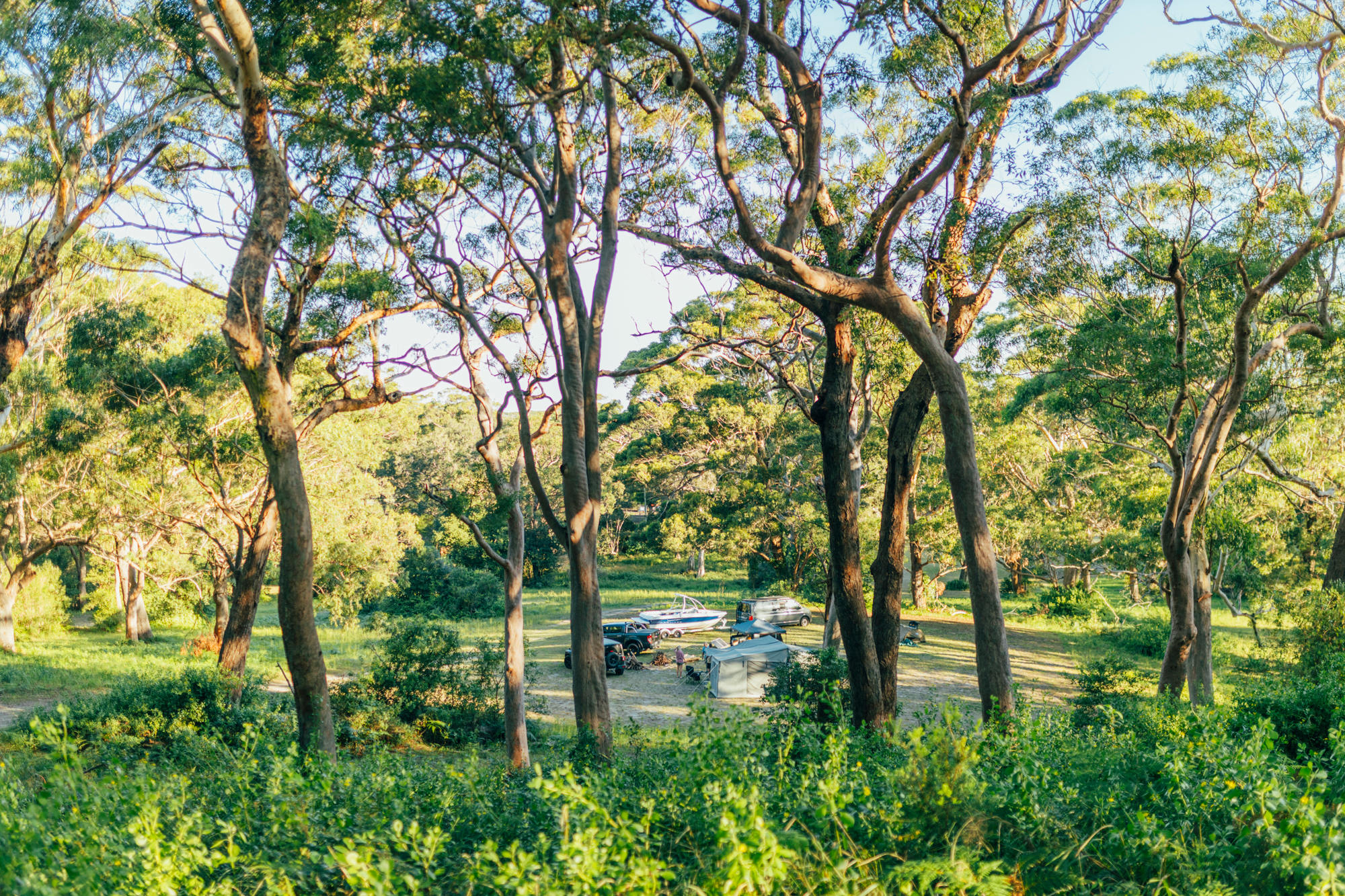 One of the larger sites, surrounded by trees