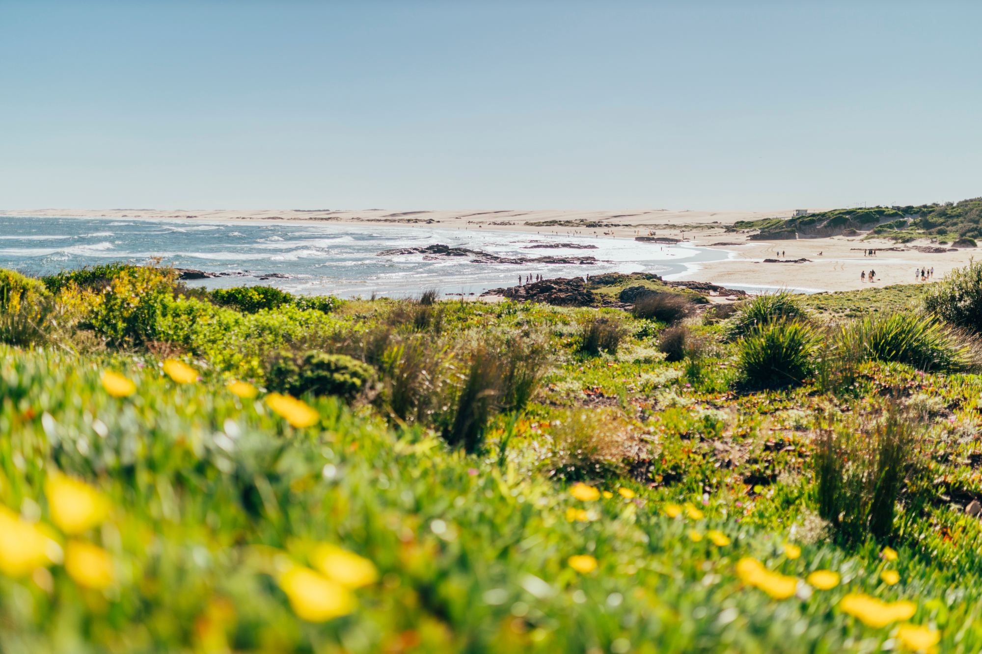 Anna Bay Point lookout