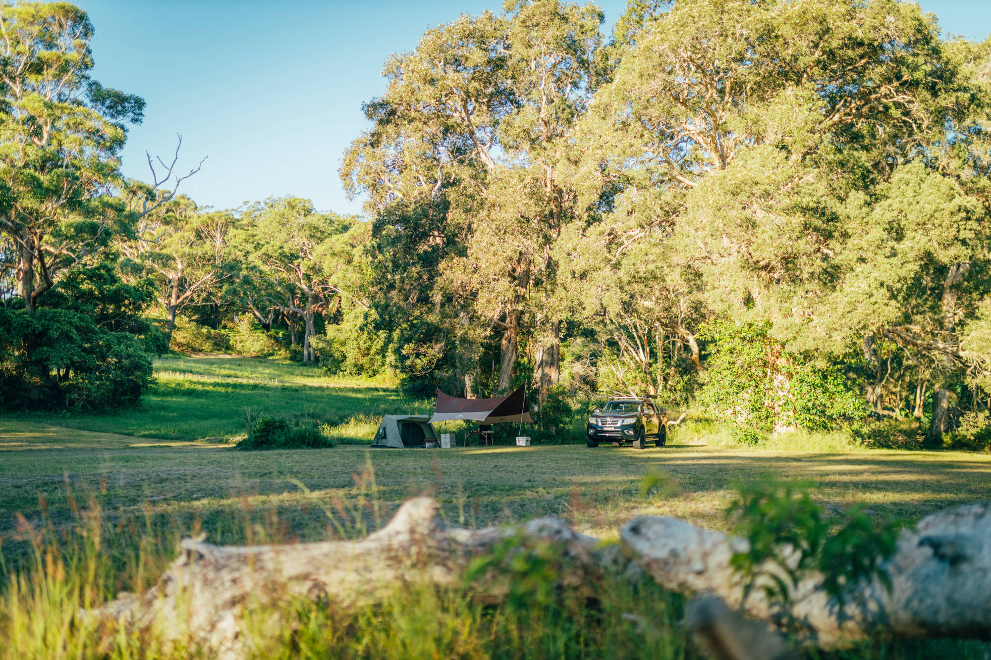 camp view