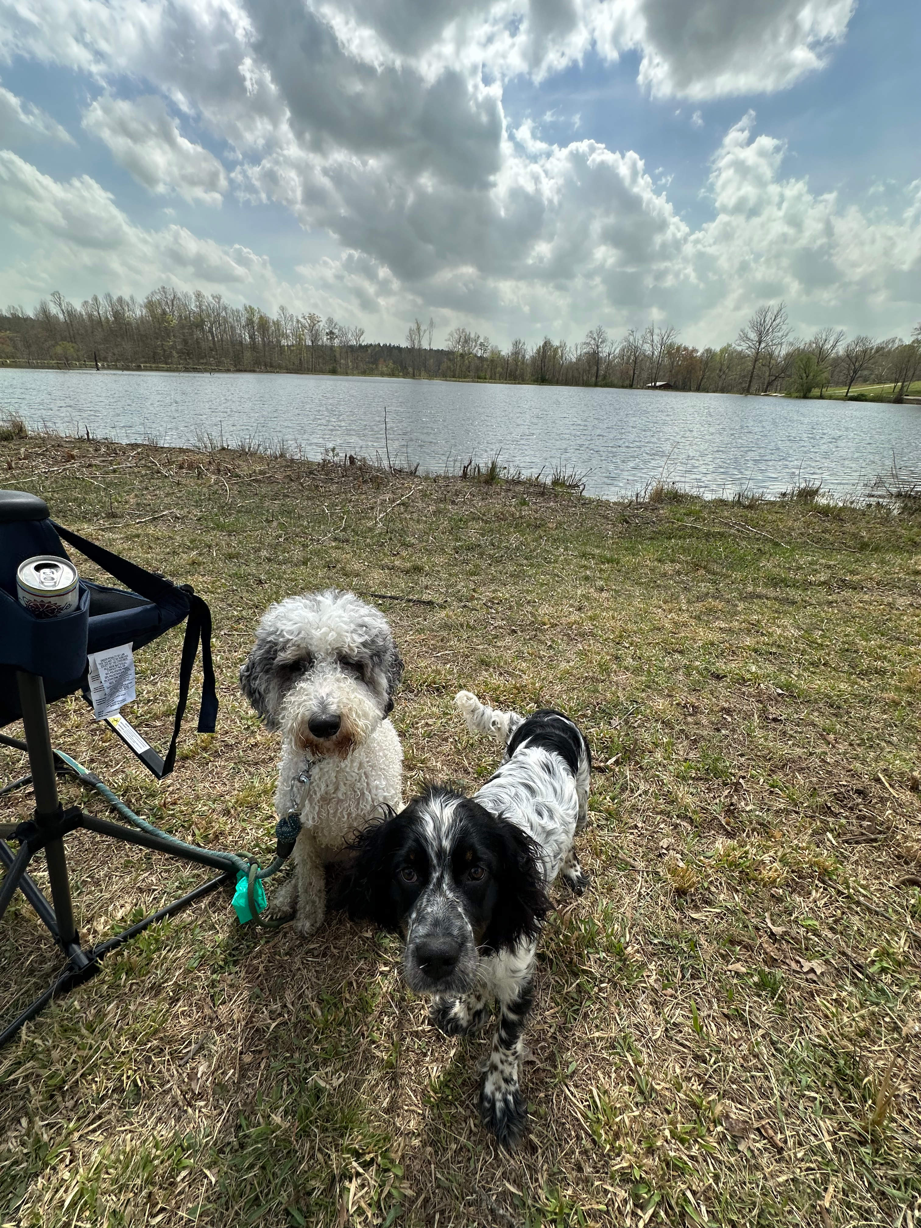 Private Lakefront Camp Free Kayaks