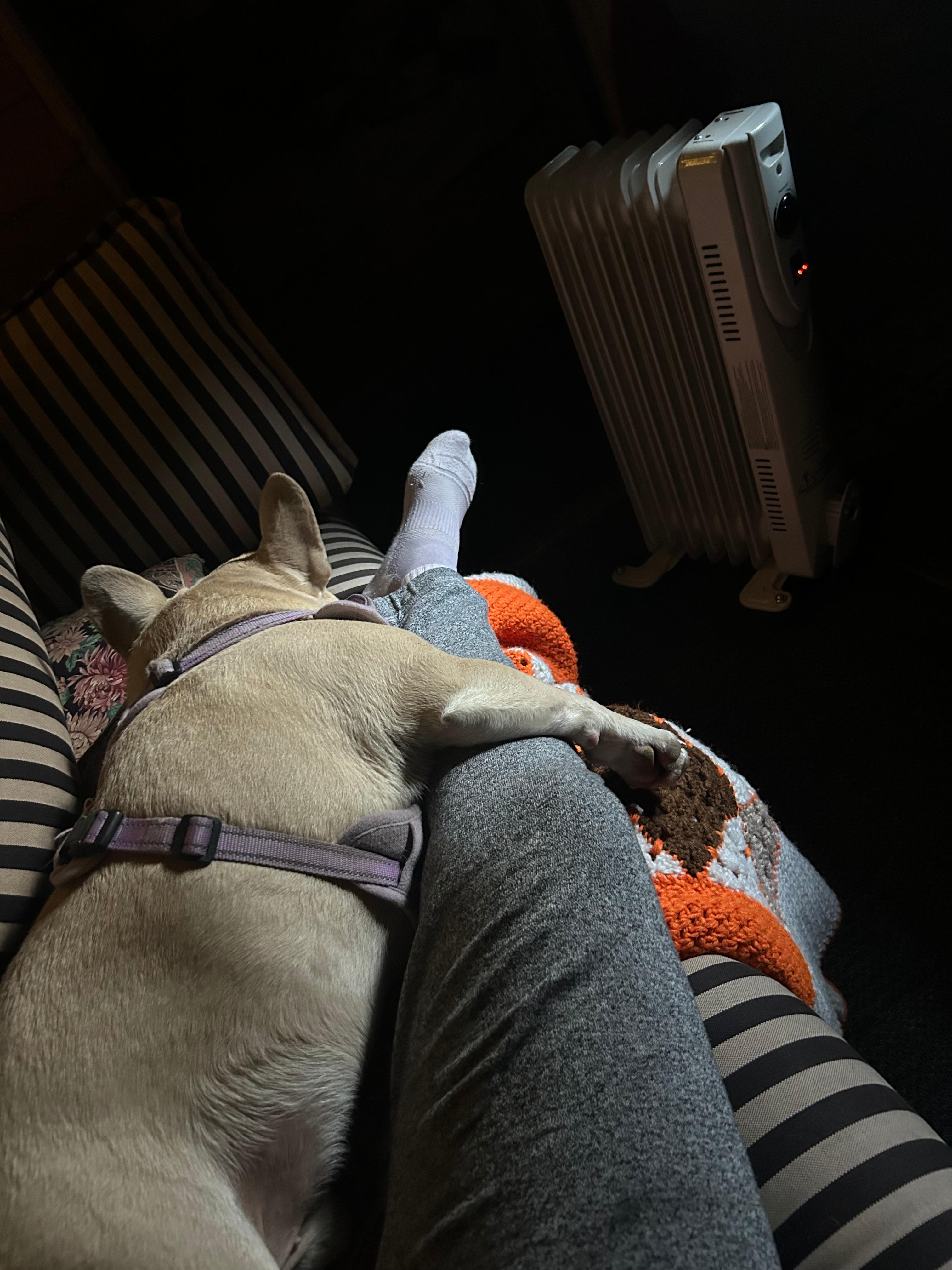 Vacation rentals in Bragg Creek