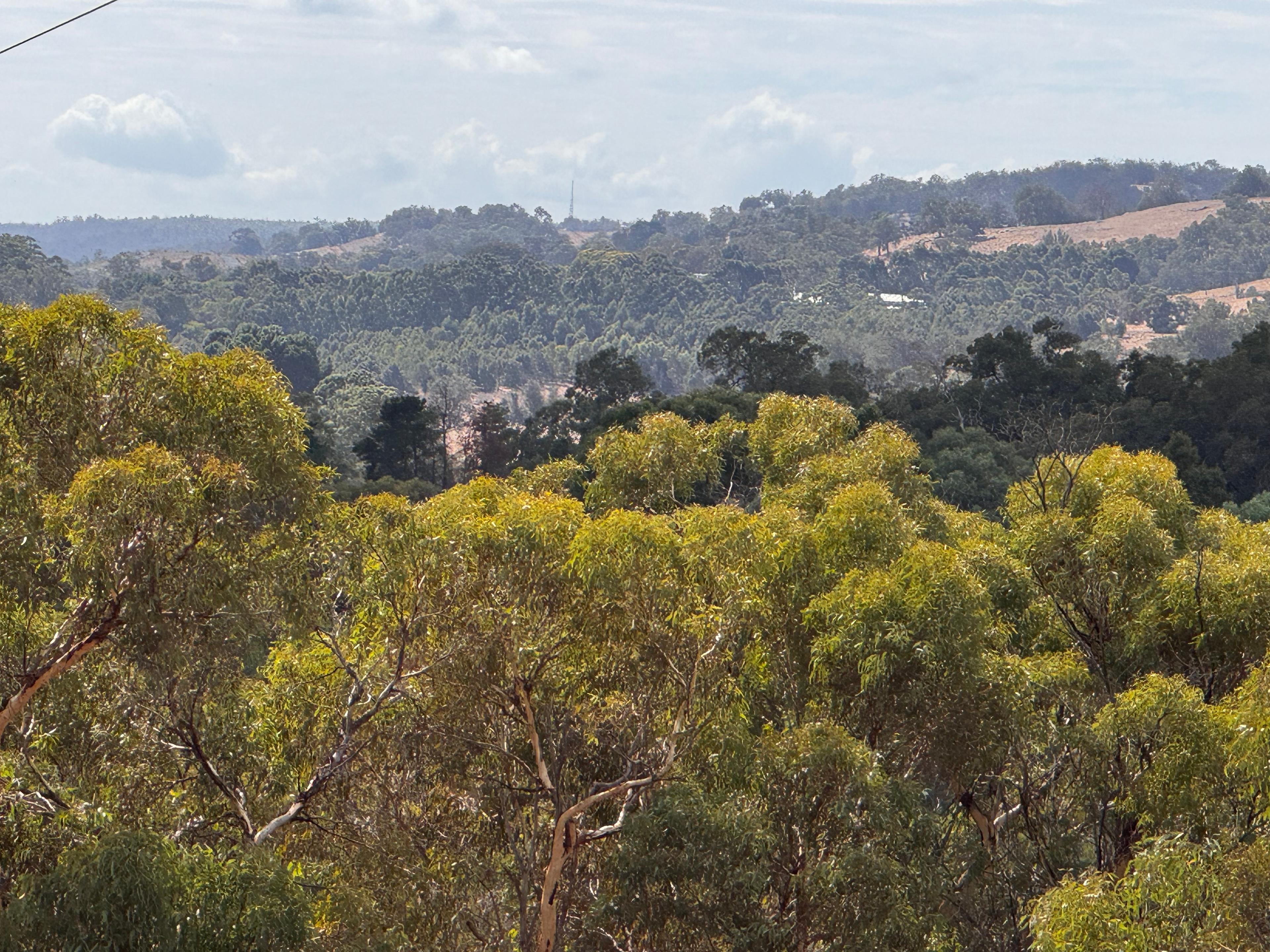 Yarrabah High Country- Jarrahdale
