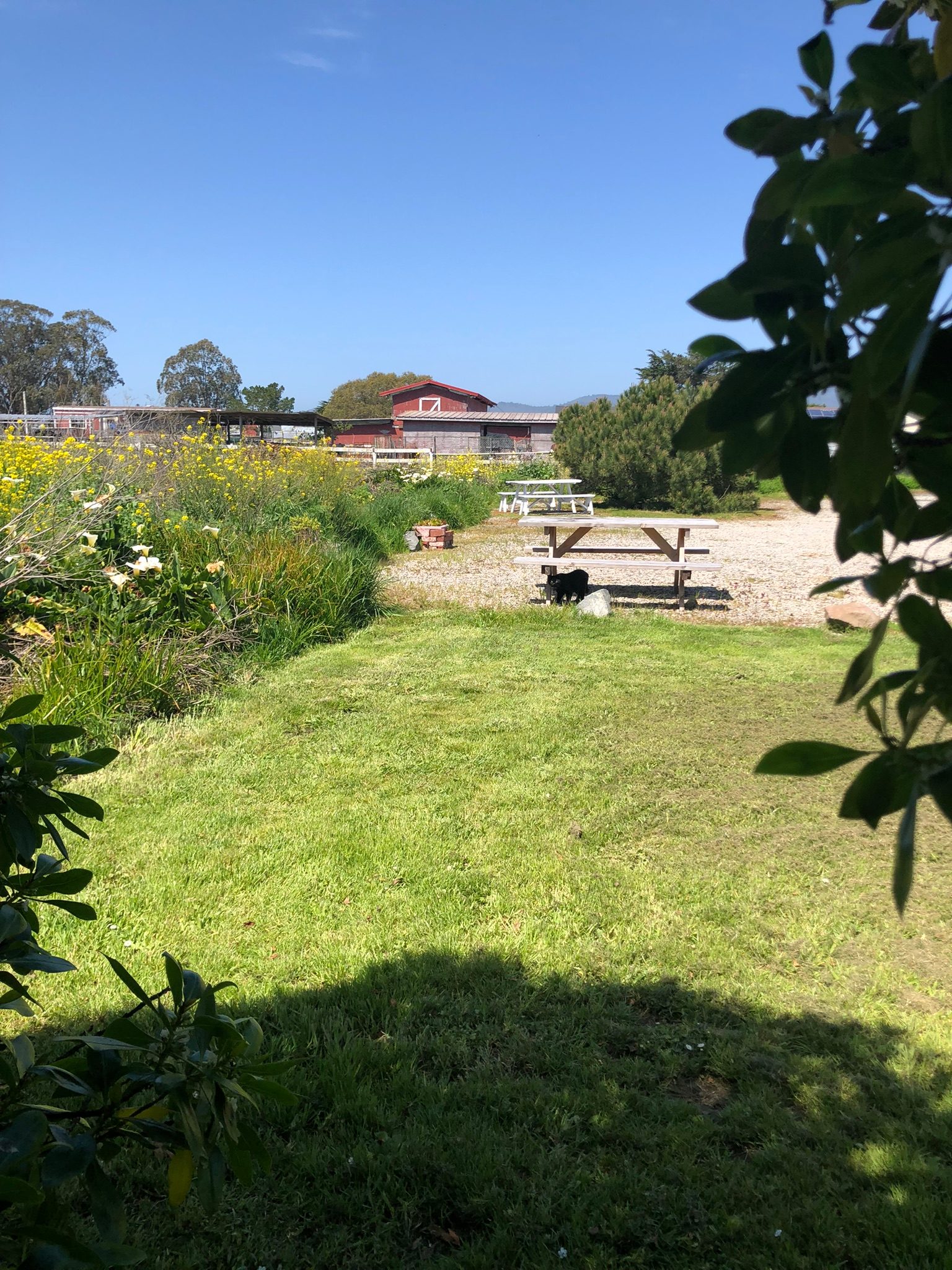 #2 HMB Highway Overnight Rest Stop