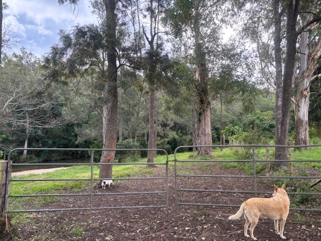 Conondale Valley Farm