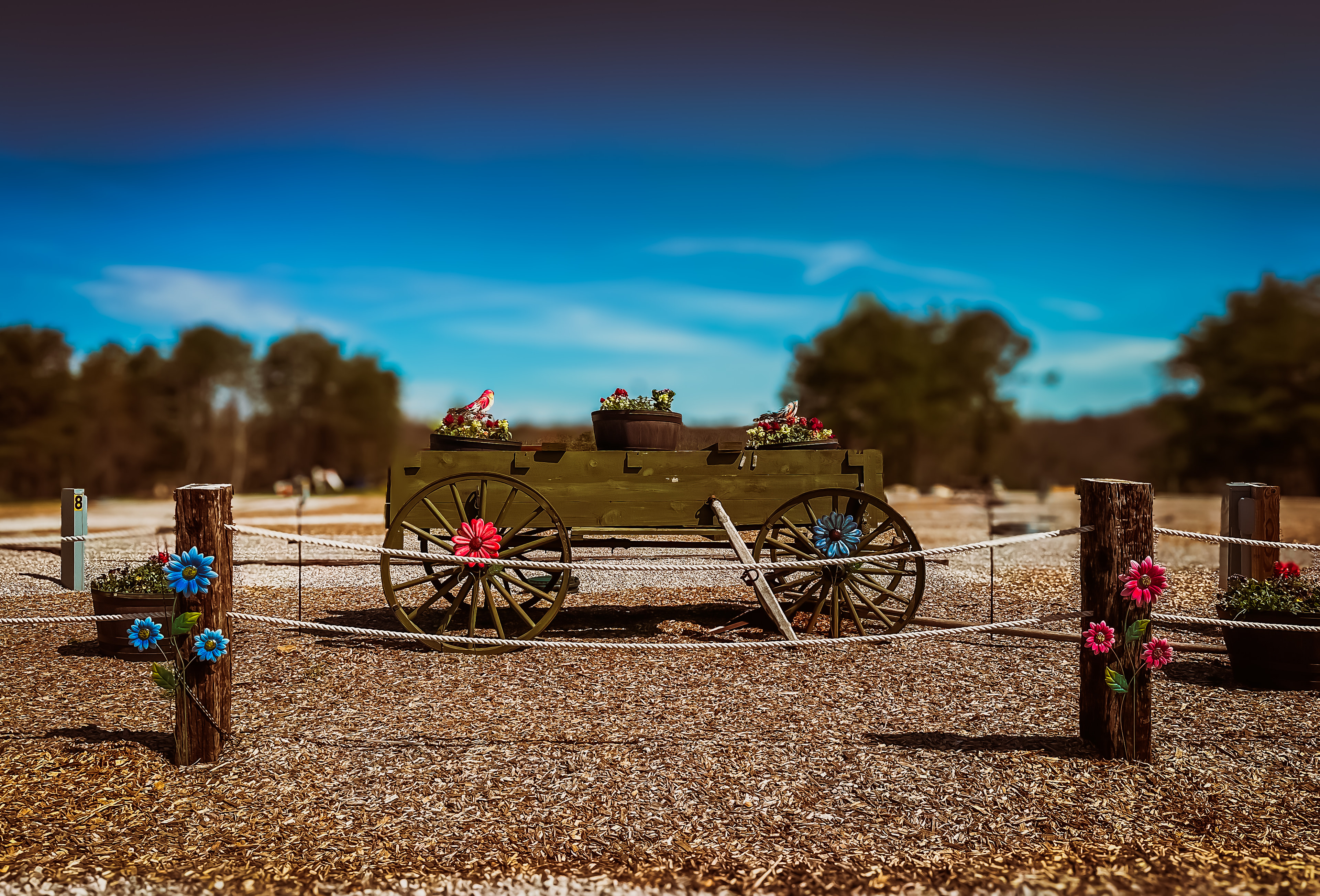 Rustling Pines Horse Camp