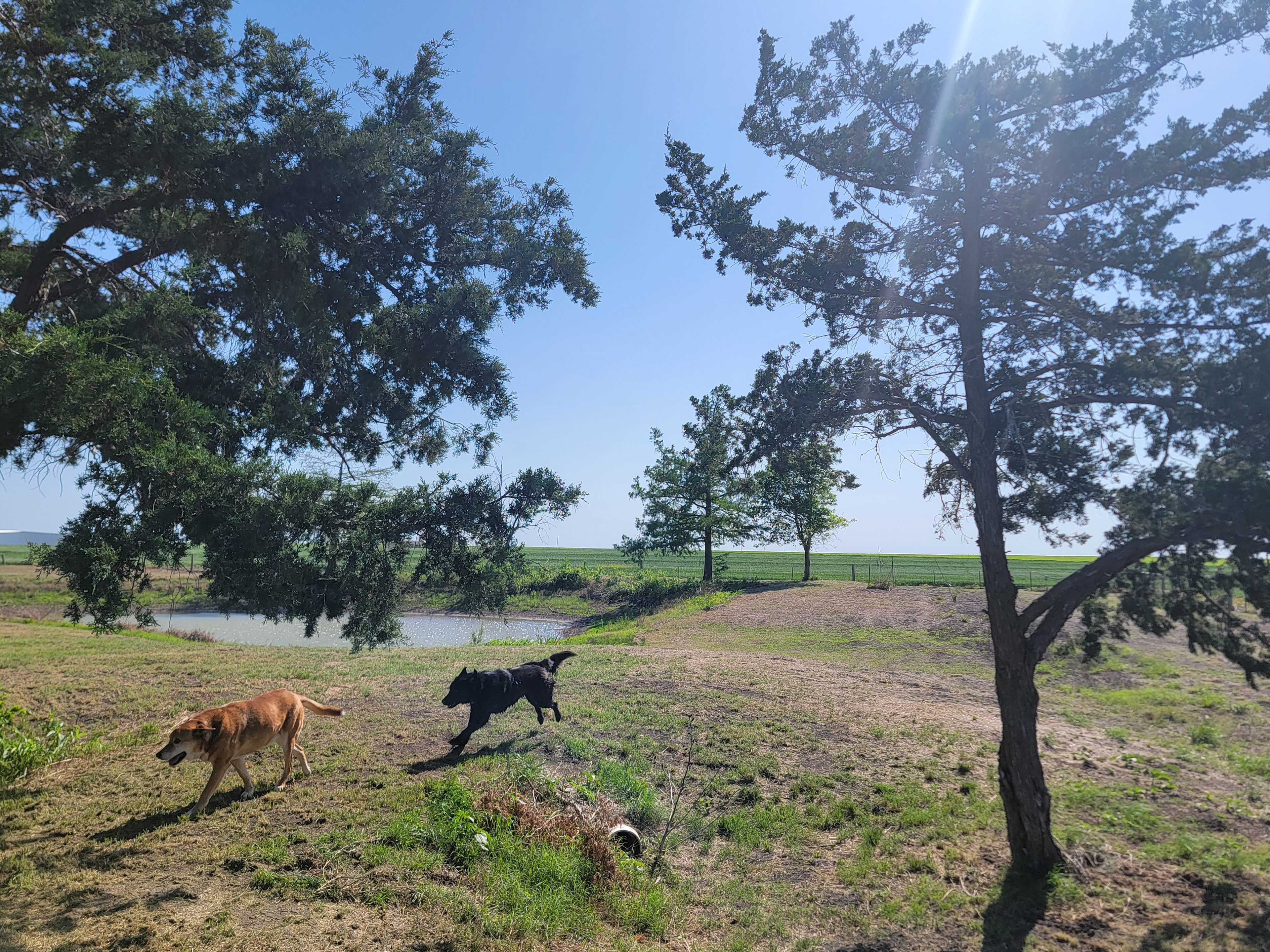 Circle 6 Ranch