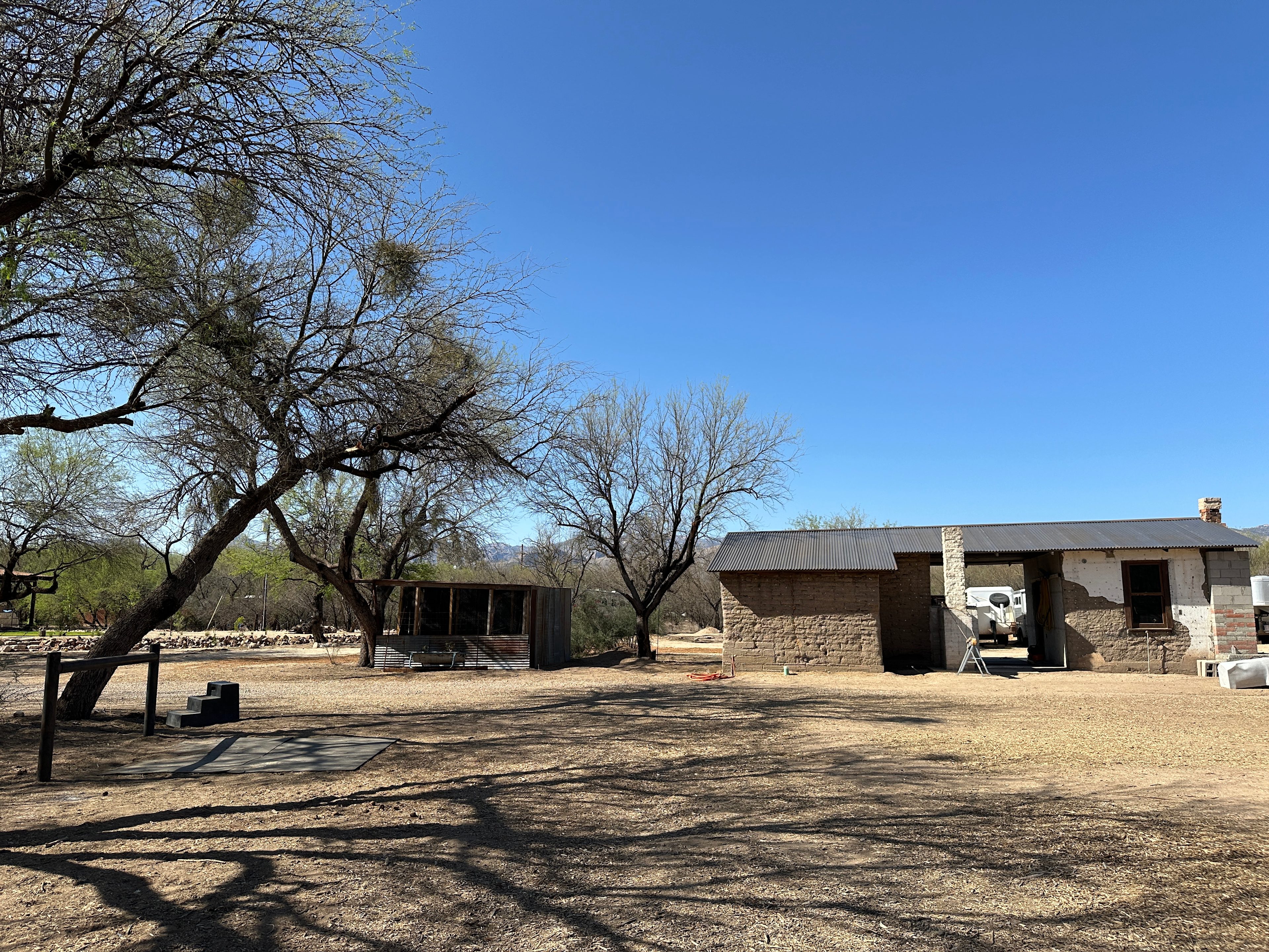 Horse Haven In The Mesquites