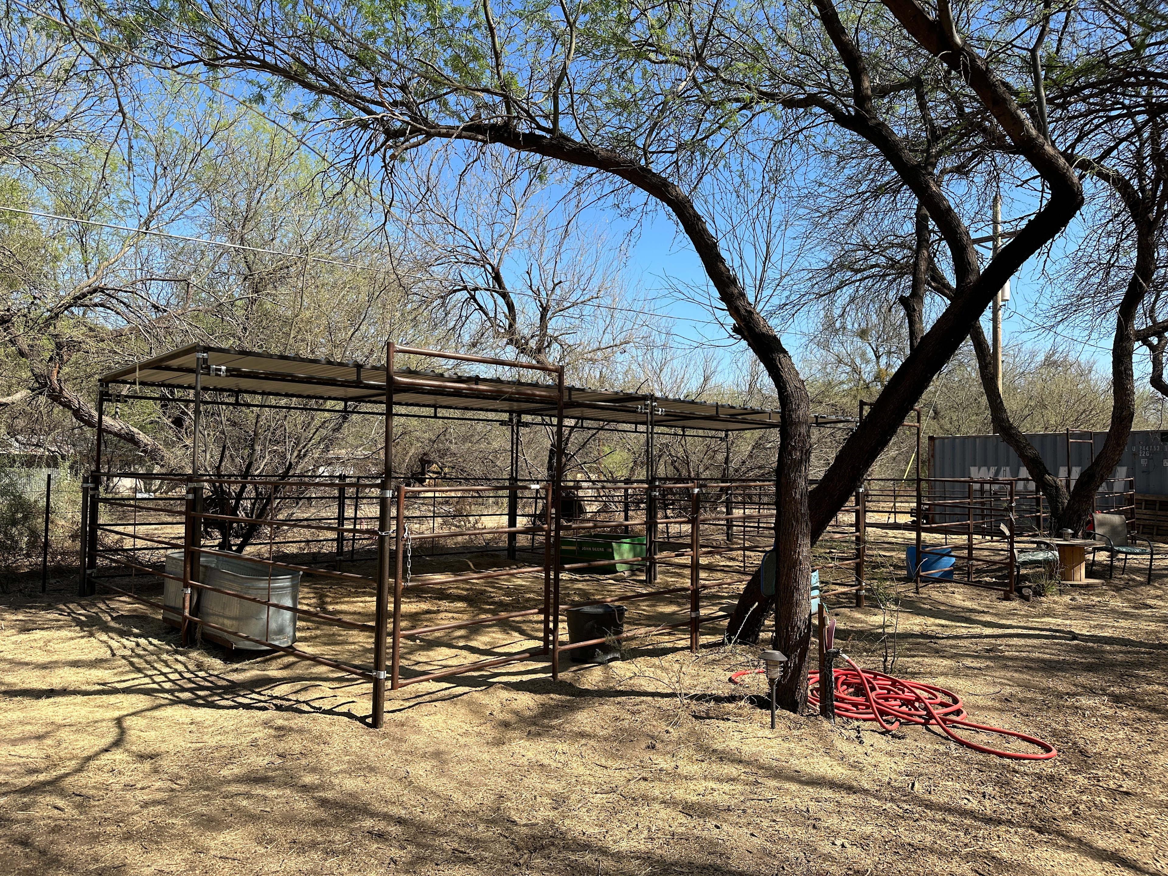 Horse Haven In The Mesquites
