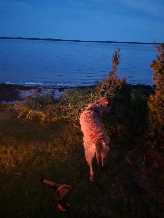 Casa Cucina / River House / Quirky