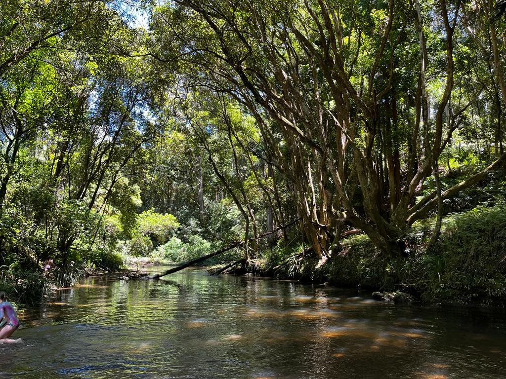 Kalang Farm Wildlife Sanctuary