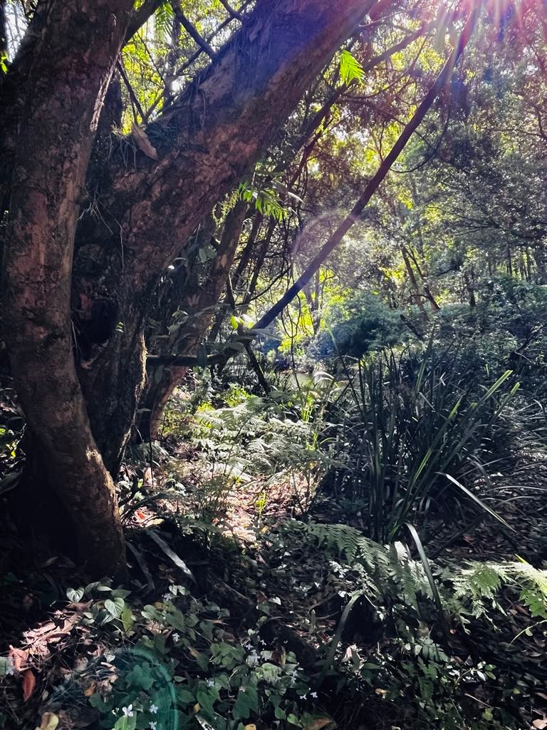 Kalang Farm Wildlife Sanctuary