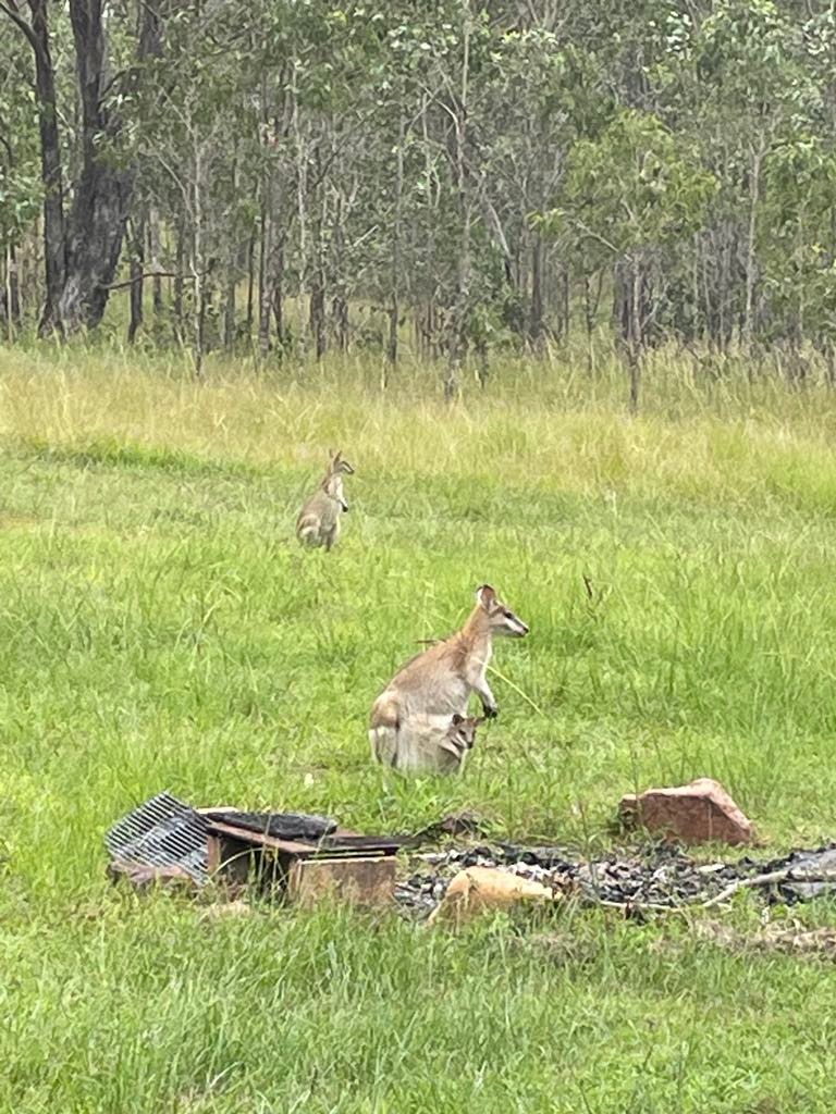 Flaggy Creek Caravan/Camping