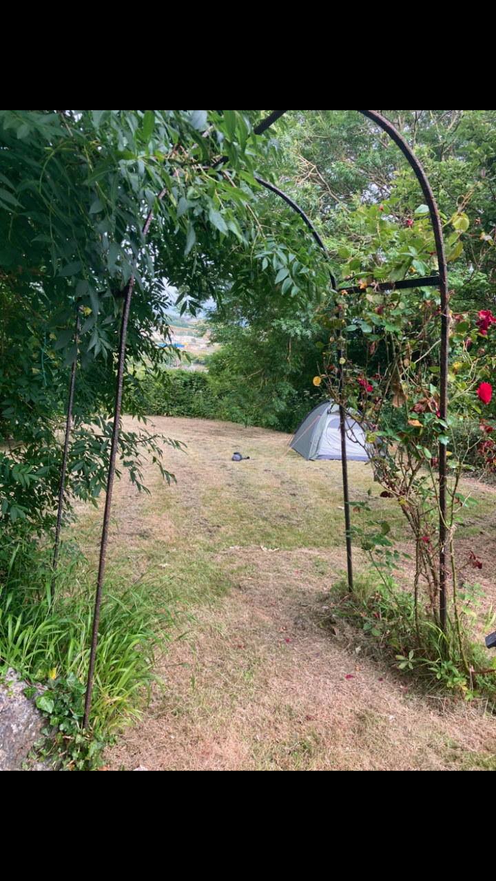 summer secret garden from hot tub view - roses are out :)