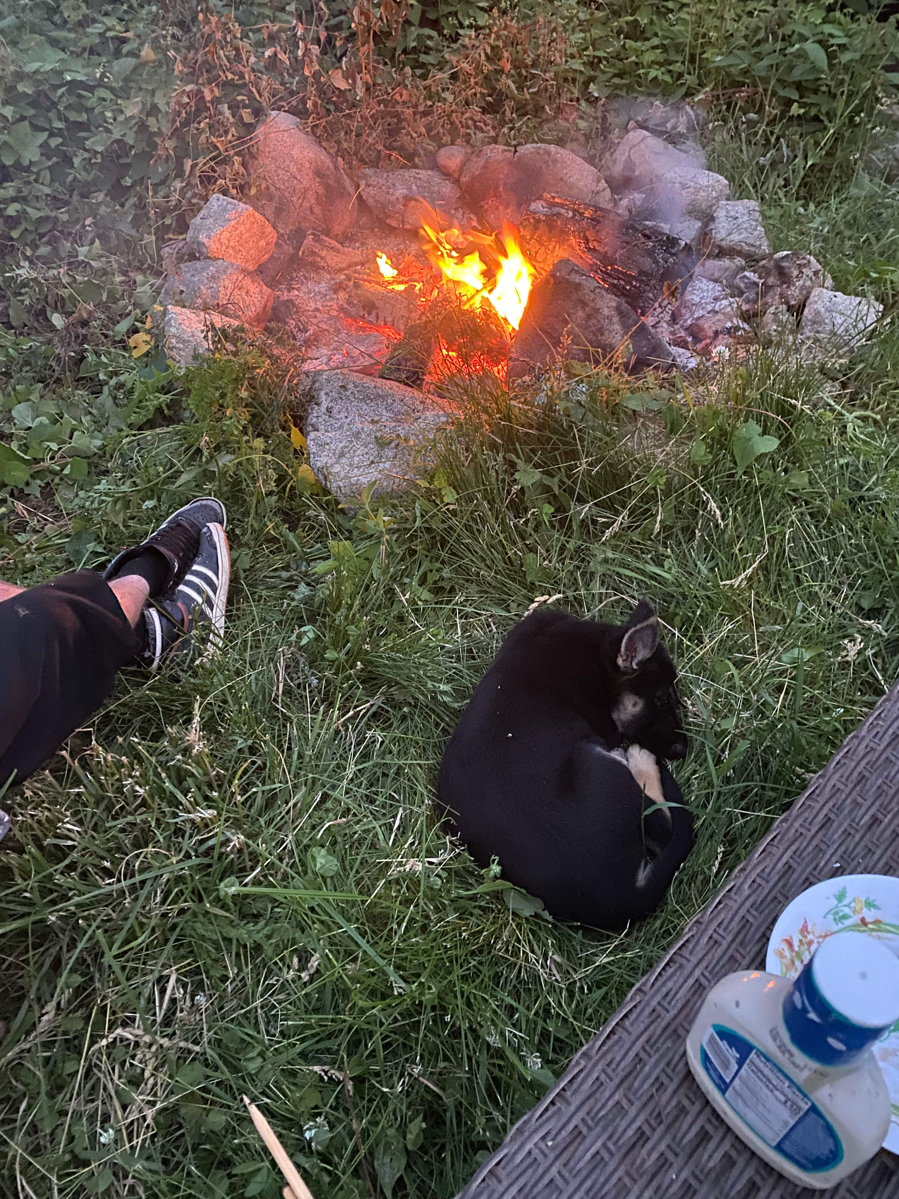 Earth Paradise Eco-Retreat