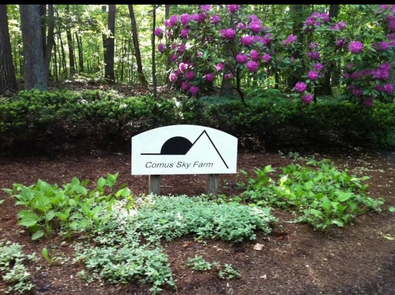 Camp Comus, LLC