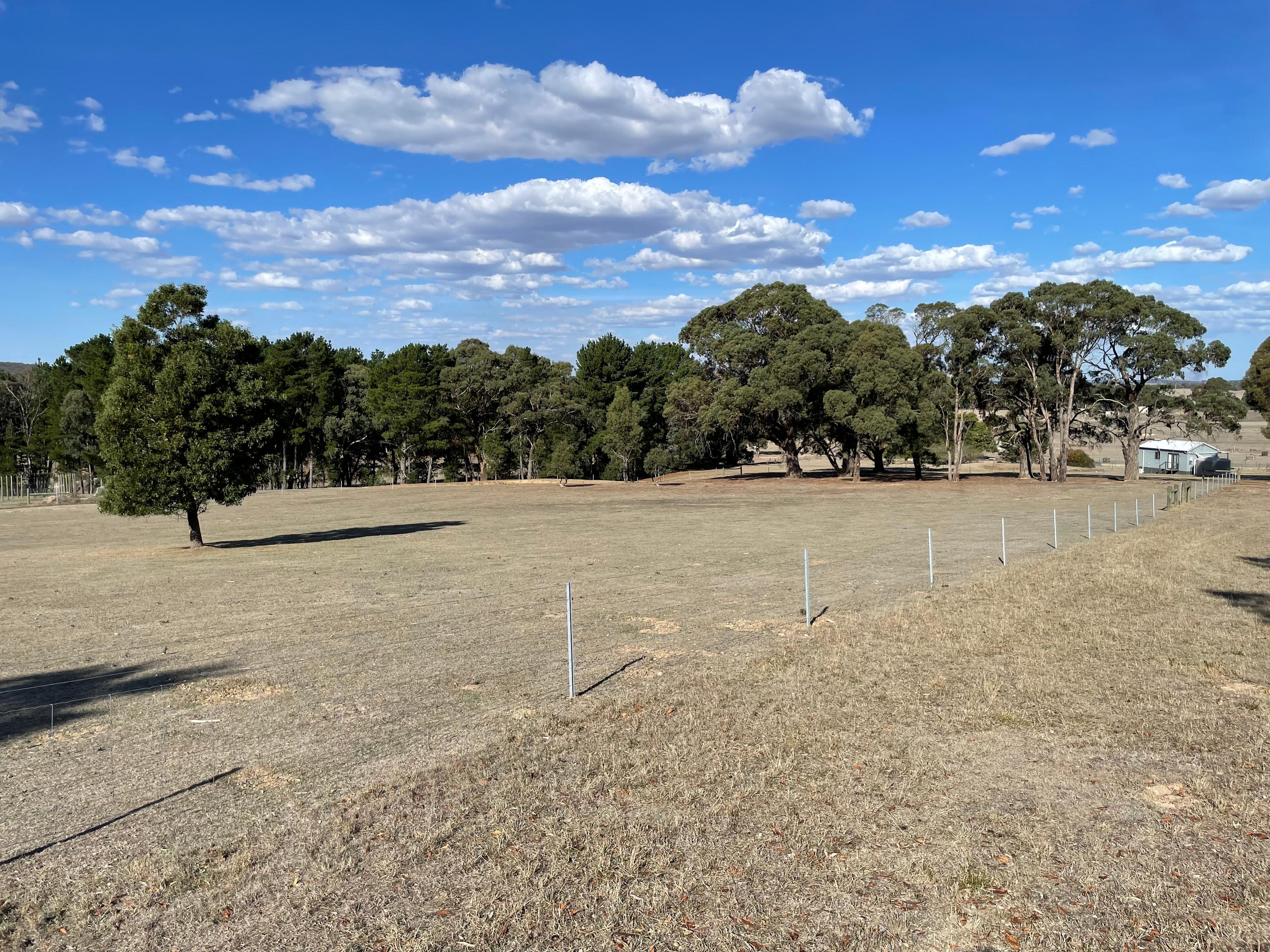 The Greenhouse on School Rd