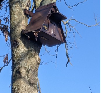 Wolstonbury Dreaming Chantry Farm