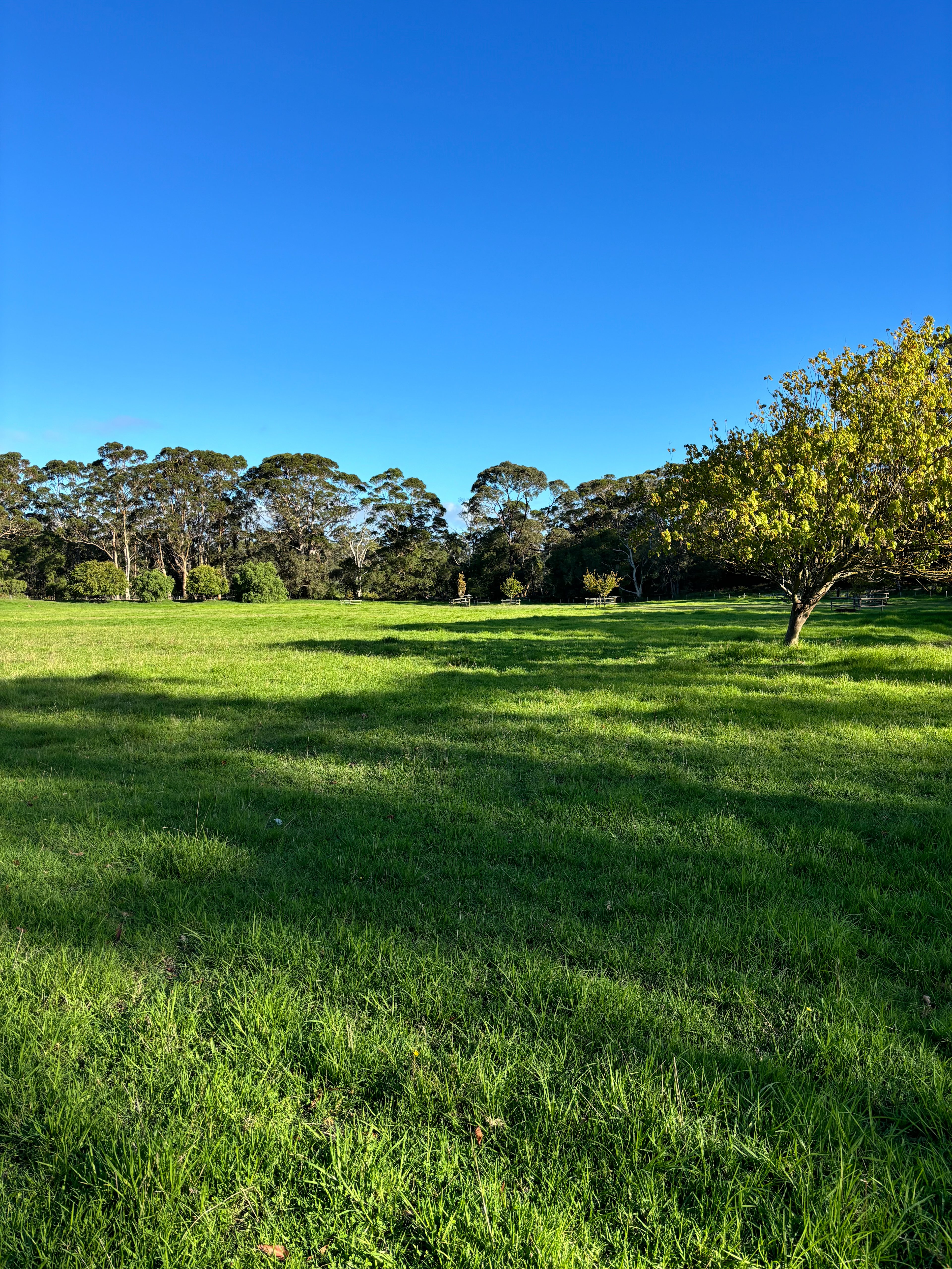 Park Farm in Robinson