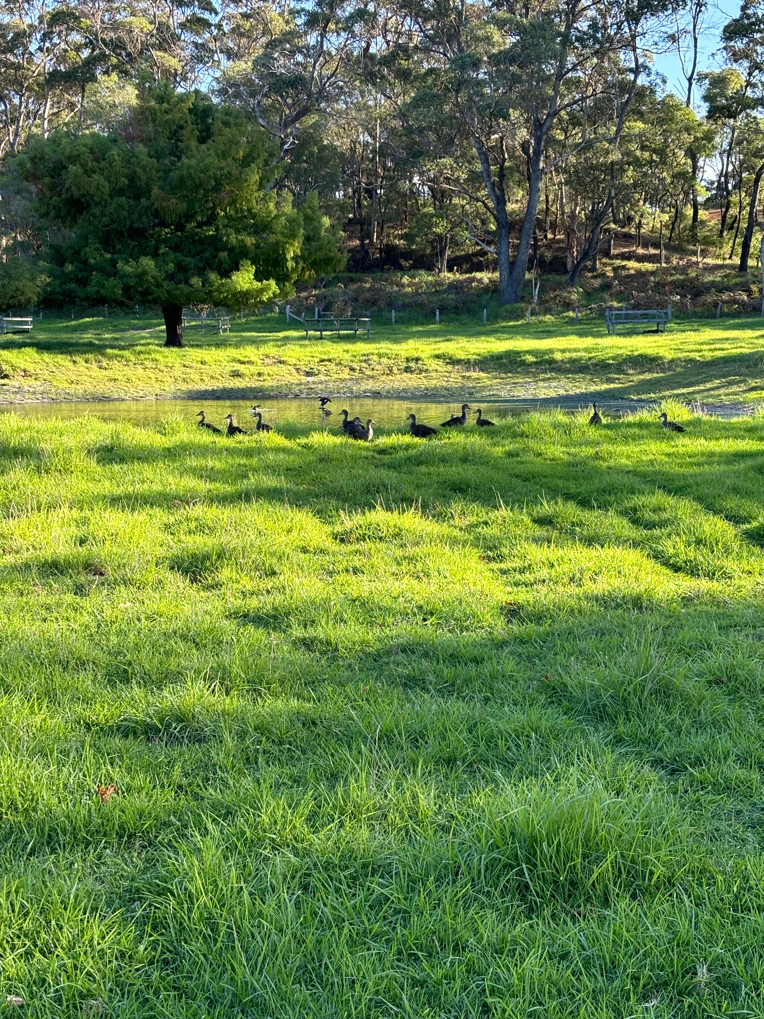 Park Farm in Robinson