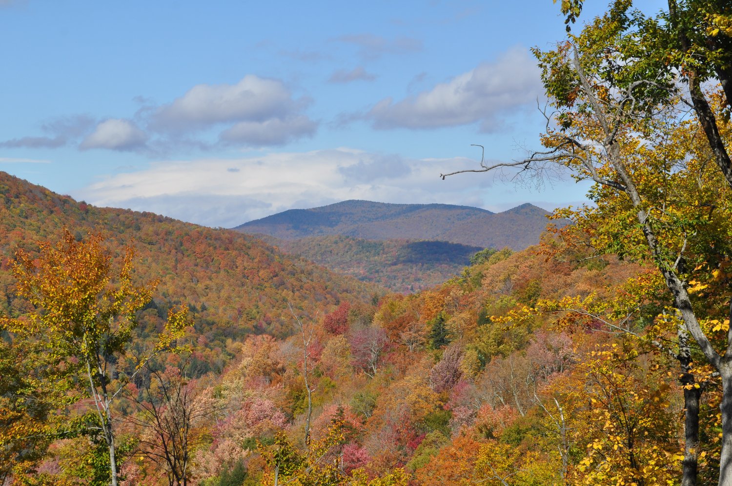 The Guide Cabin On Honcho Mountain