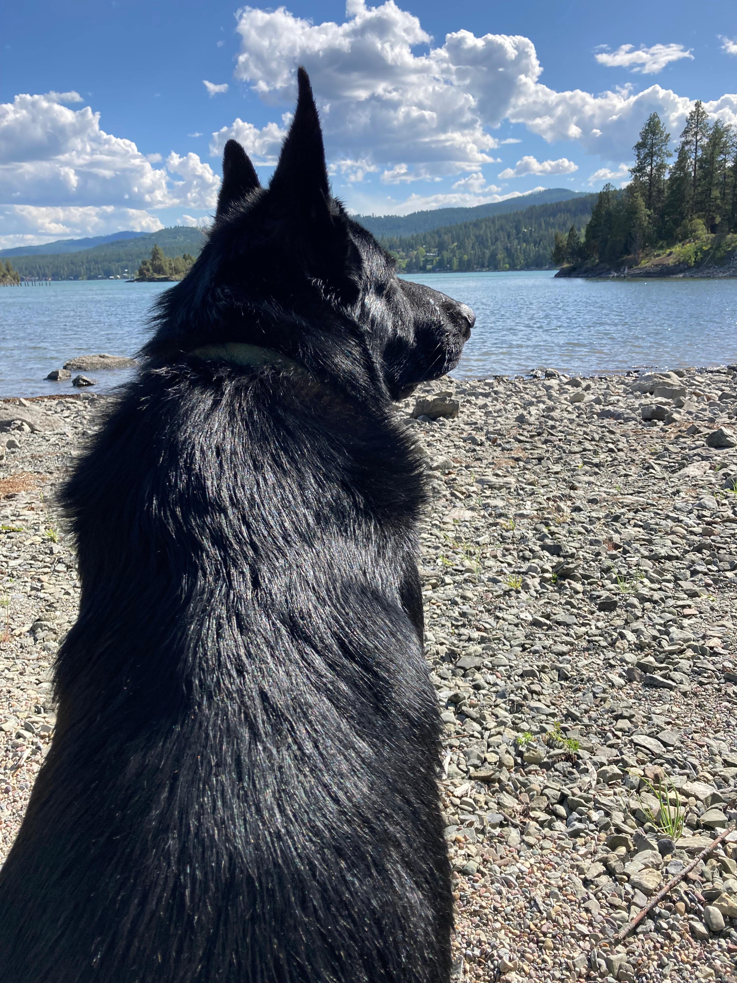 Woody's On Flathead Lake
