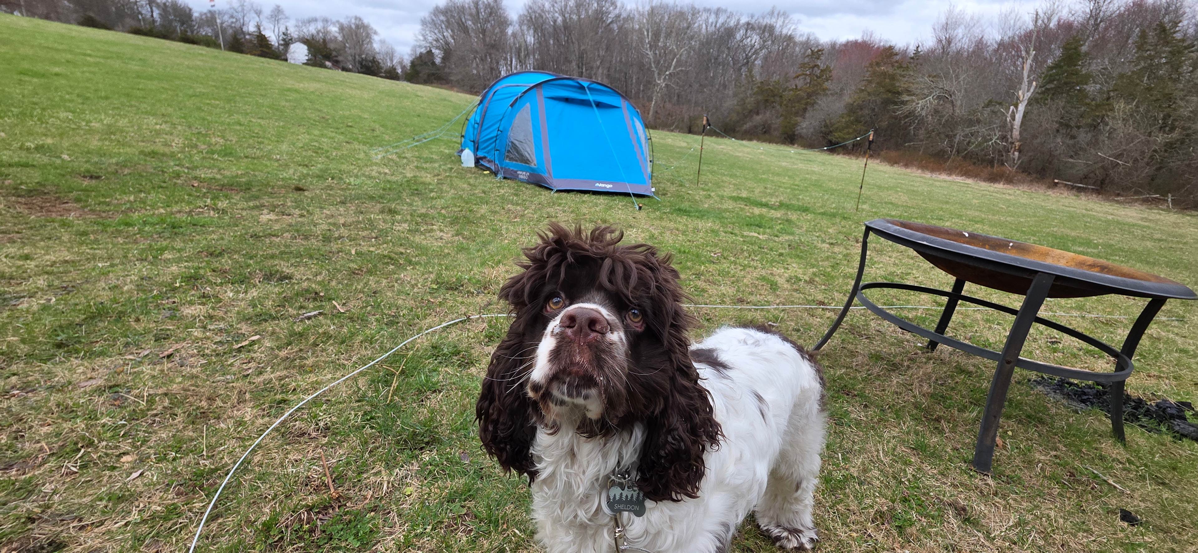 Greener Pastures Camp