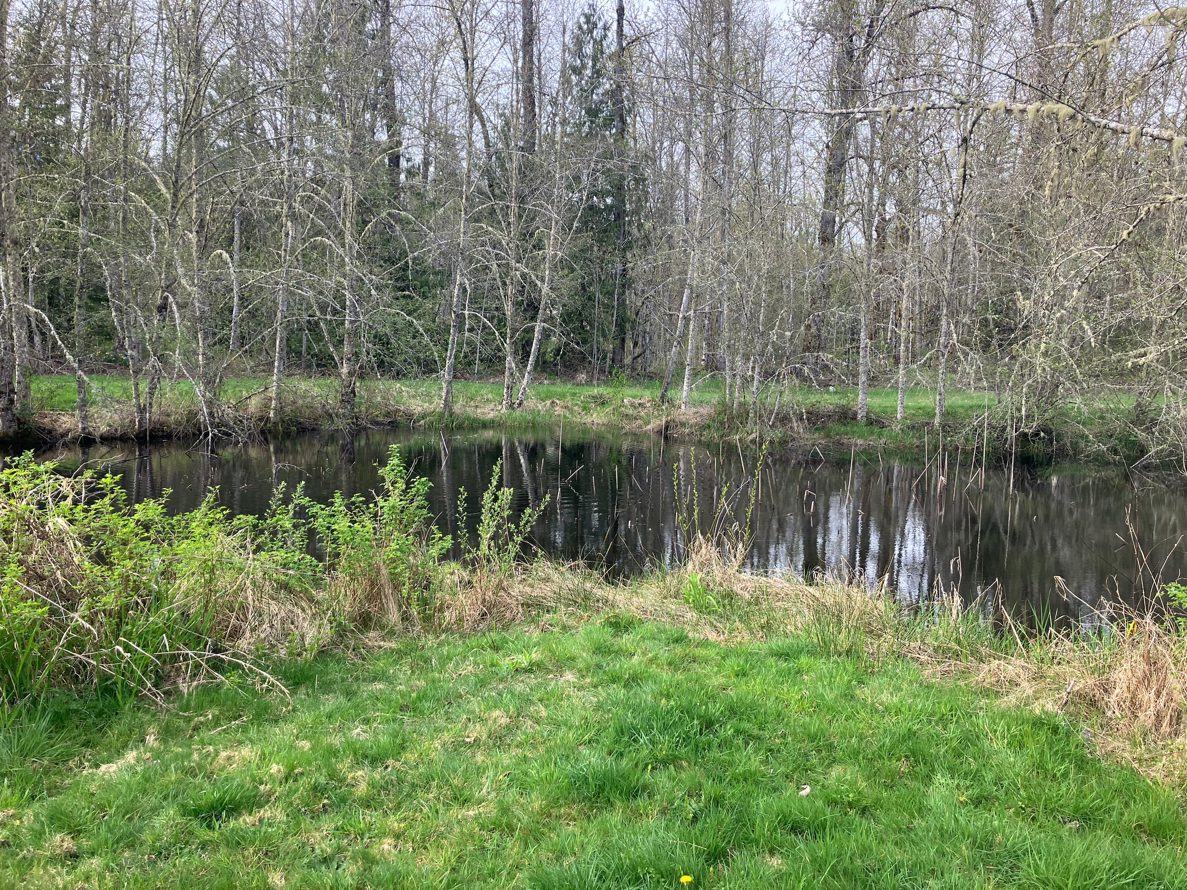 Twin Cedars Cascadia@pondview place