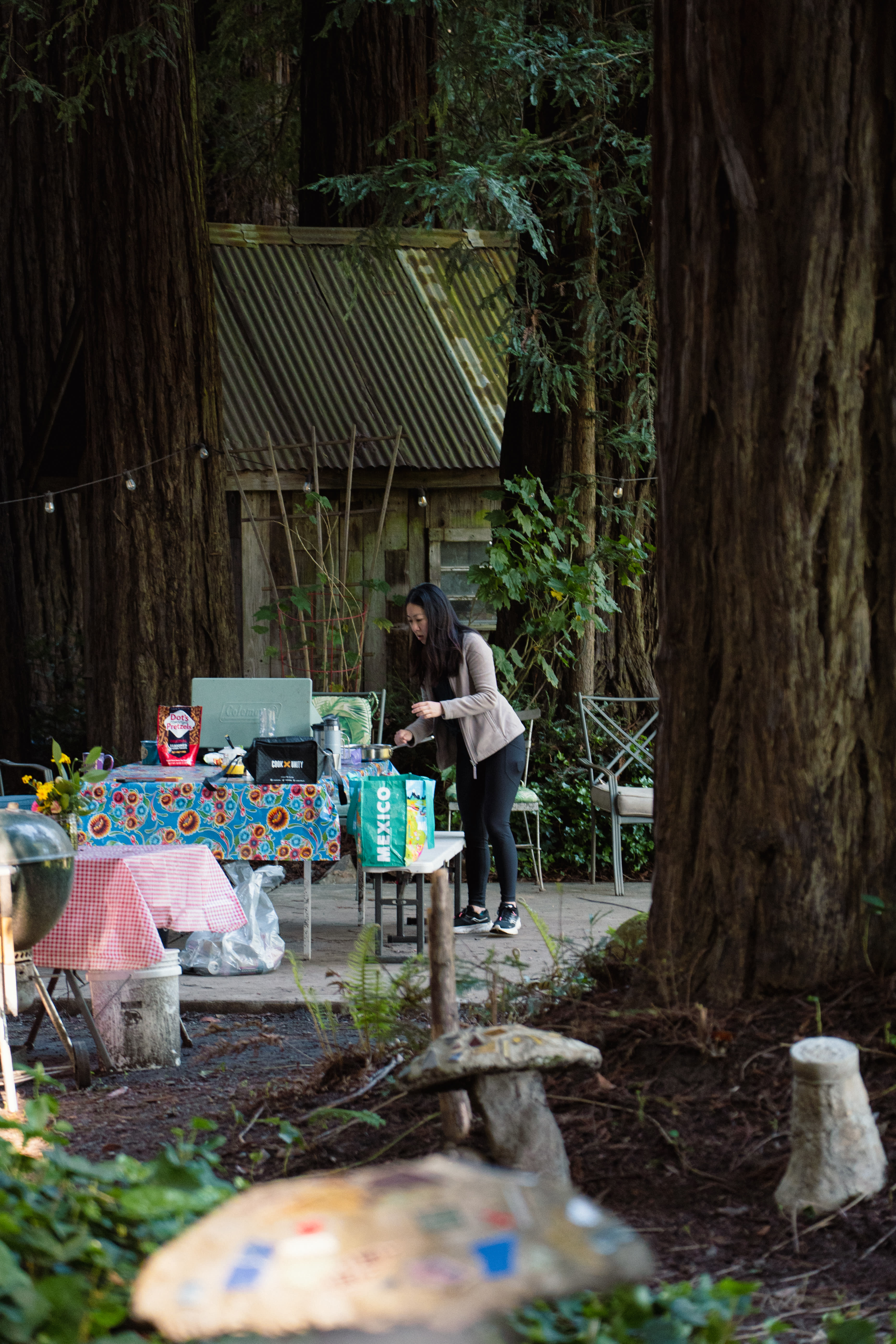 main kitchen/picnic area