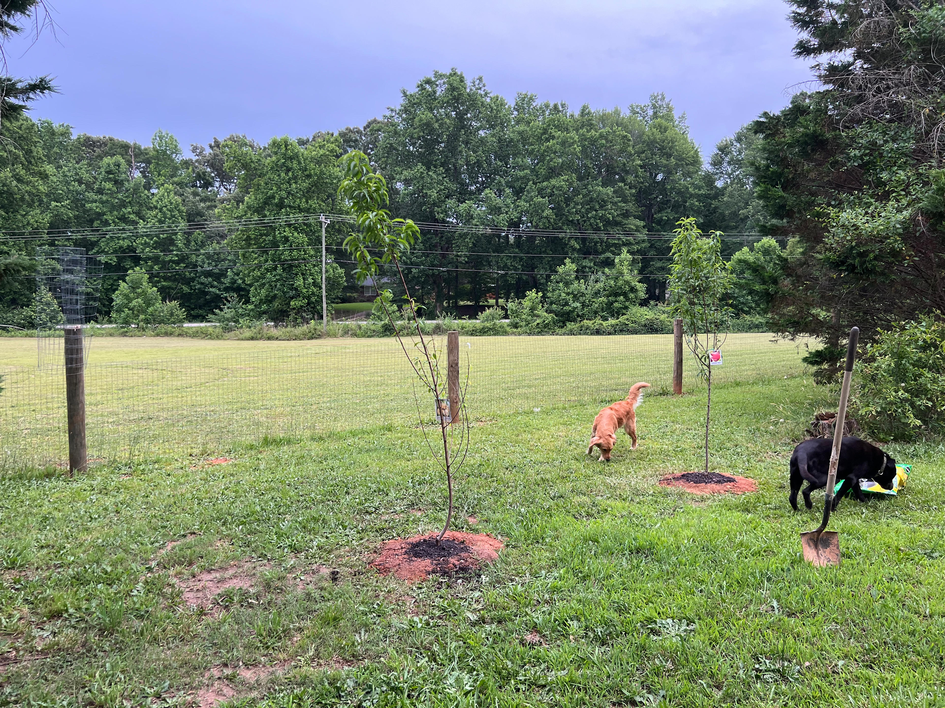 Hunniford Acres, LLC