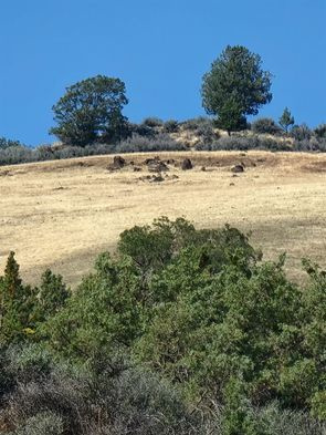 Rural Hideaway On Hoddinott Hill