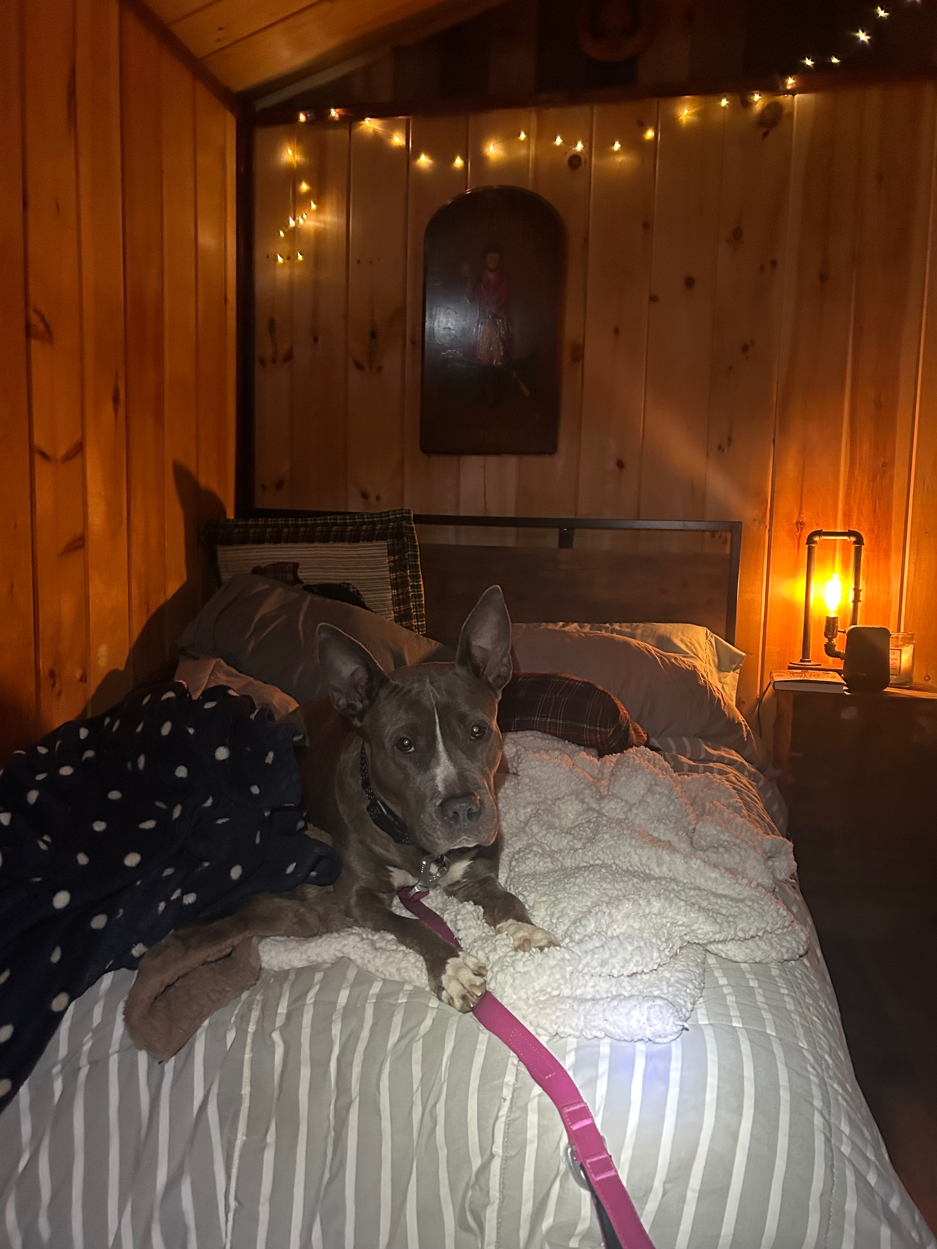 Lake Of The Woods Cabin Camp HST