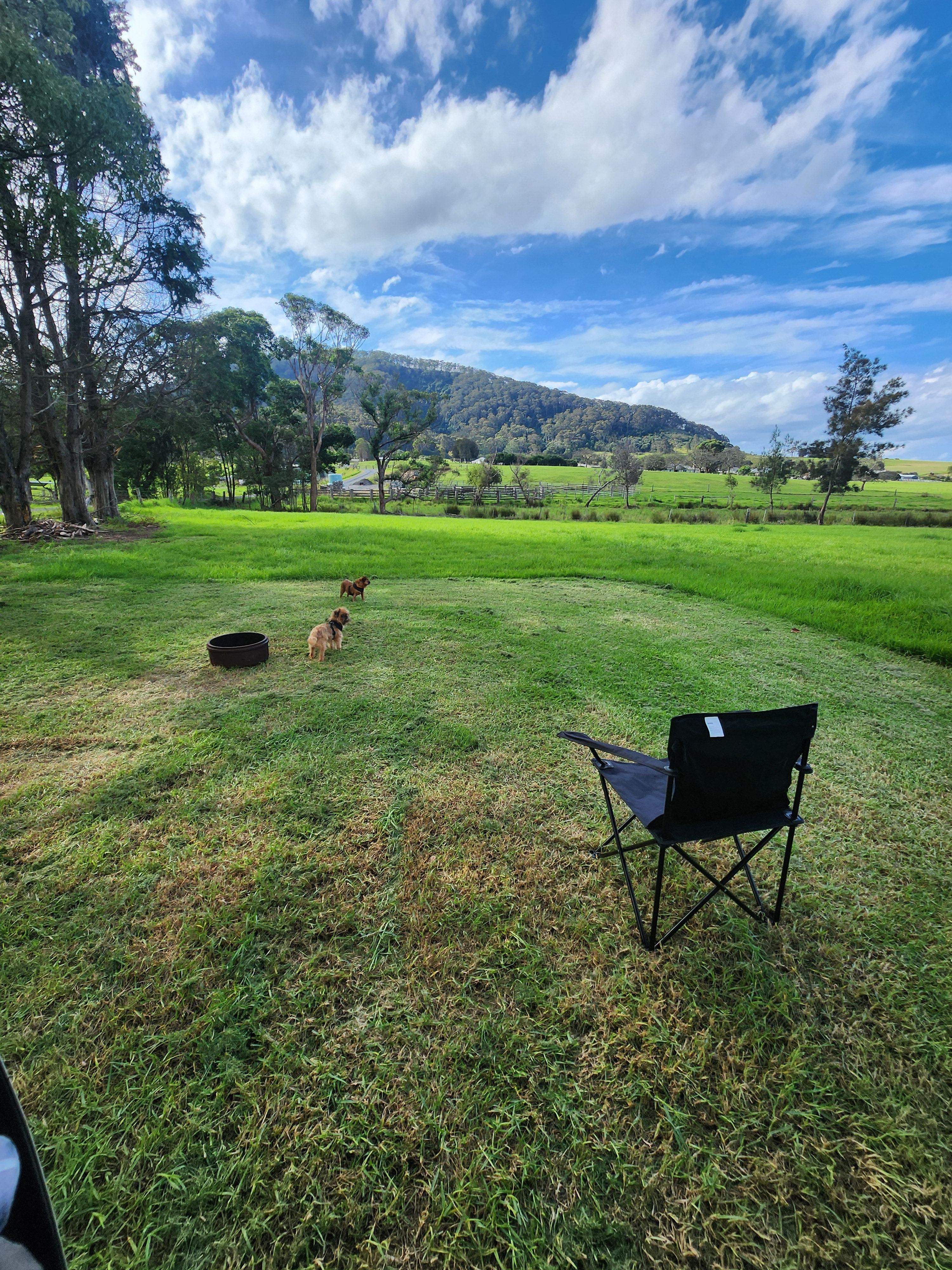 Misty Mountain Farm - Farm Stay