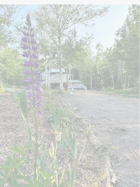 The Lobster Boat Inn