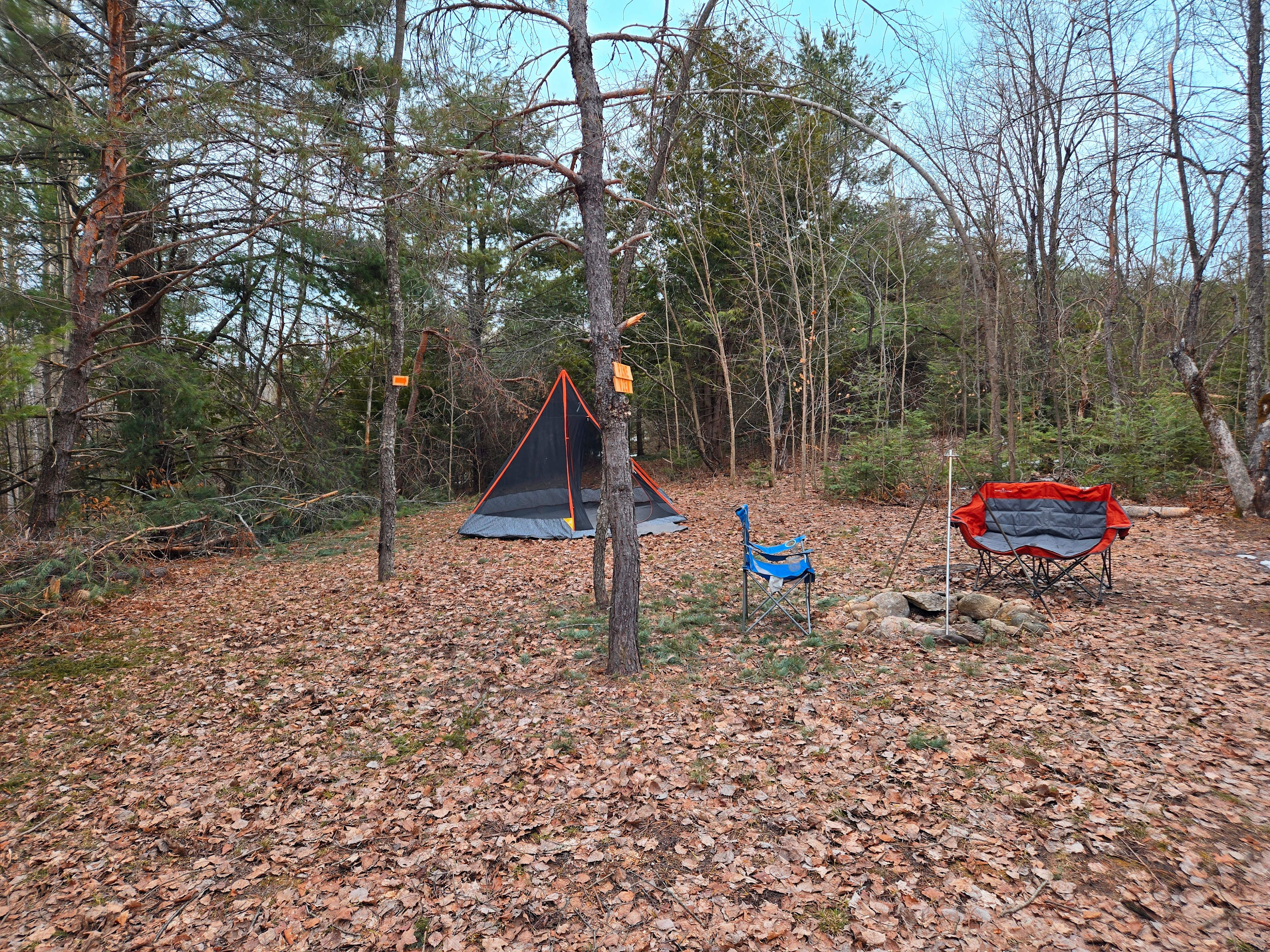 Rooster Ridge