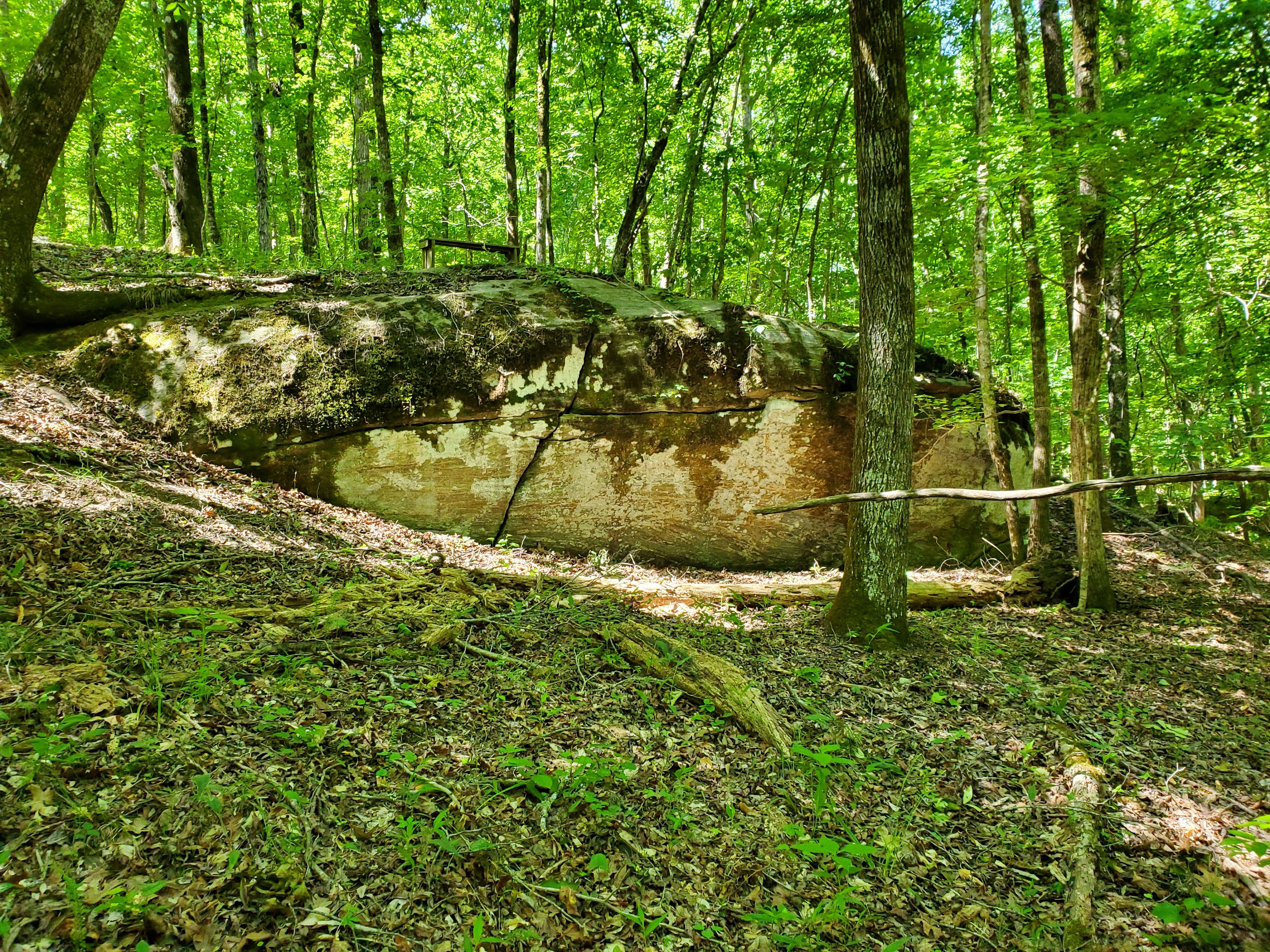 Secluded,Park-like Glamping Retreat