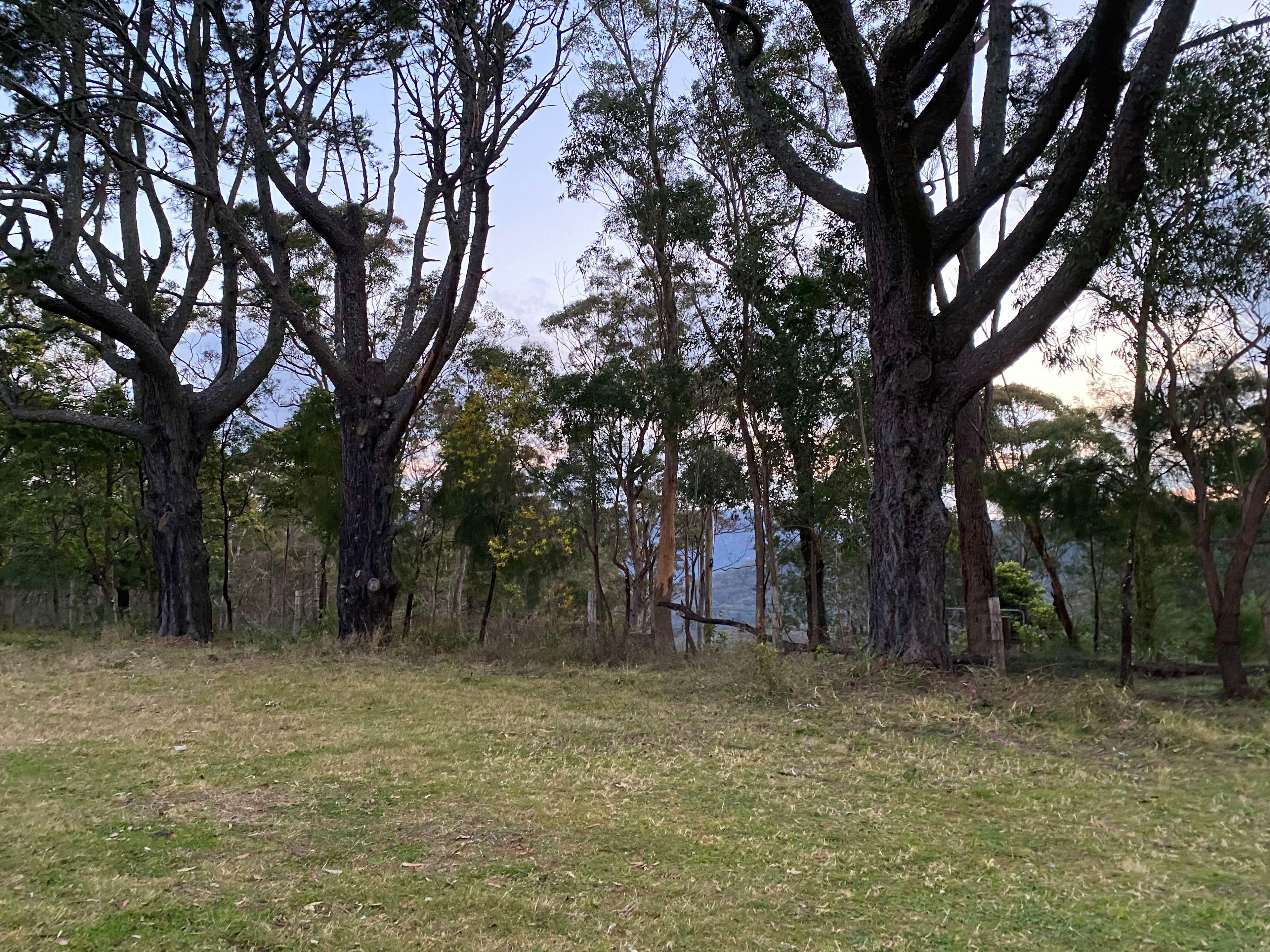 Escarpment Escape